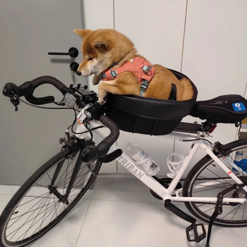 Велосипедная корзина для домашних животных, горный дорожный велосипед с сумкой для собак и кошек, велосипедная корзина, крестовое седло, товары для домашних животных, товары для собак
Велосипедная корзина для домашних животных, горный дорожный велосипед с сумкой для собак и кошек, велосипедная корзина, крестовое седло, товары для домашних животных, товары для собак