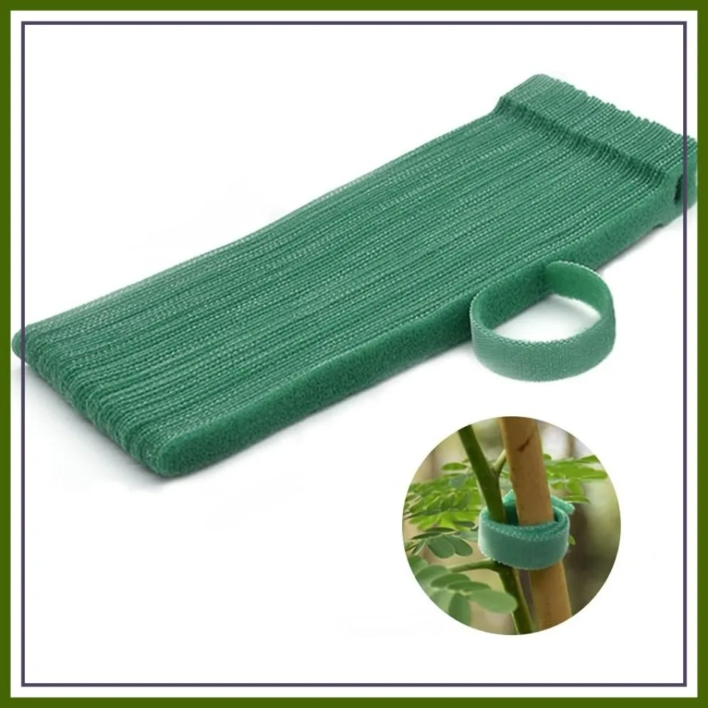 8" Garden Plant Ties, 50 Pcs Adjustable Hook and Loop Nylon Ties for Vines, Green
8" Garden Plant Ties, 50 Pcs Adjustable Hook and Loop Nylon Ties for Vines, Green