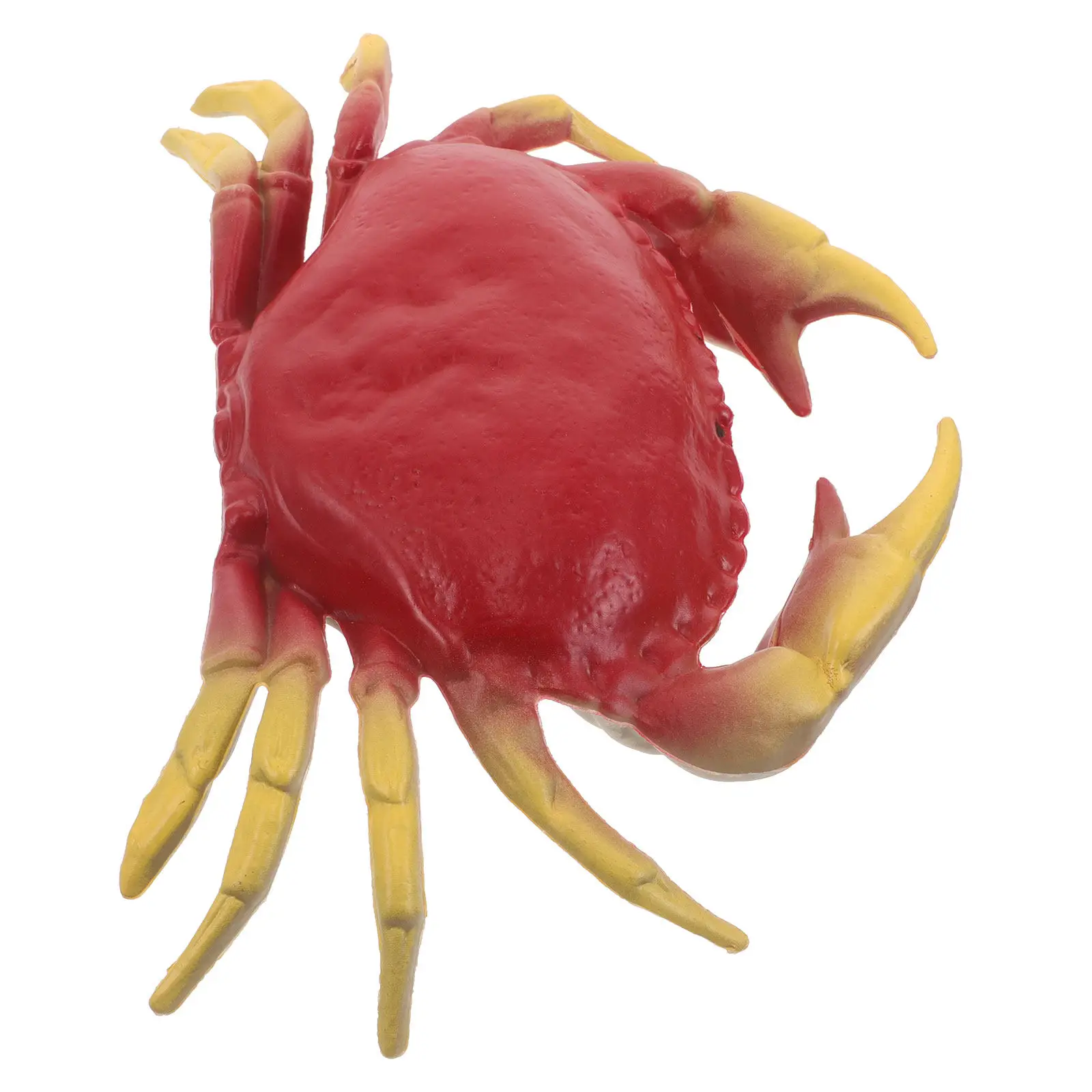 Realistic Crab Simulation Sea Animal Ornamental Decoration for Early Education Photography Backdrops Ocean Creatures Display
Realistic Crab Simulation Sea Animal Ornamental Decoration for Early Education Photography Backdrops Ocean Creatures Display