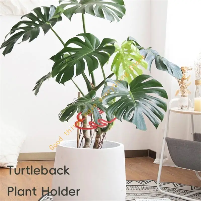55KF Flexible Plant Holder For Stable Support In Gardens Vertical Growth Garden Plant
55KF Flexible Plant Holder For Stable Support In Gardens Vertical Growth Garden Plant