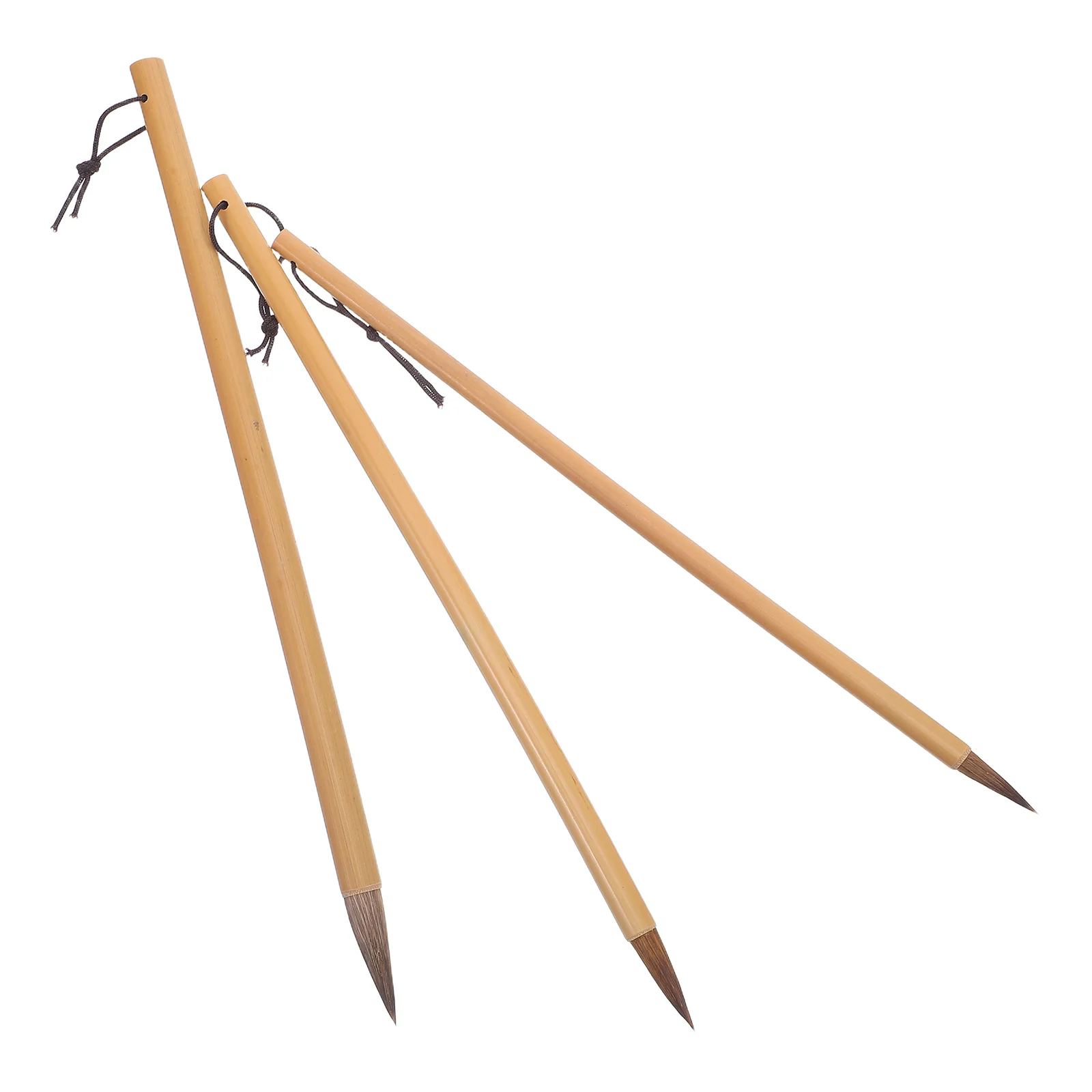 3Pcs Chinese Calligraphy Brushes with Bamboo Grip Smooth Stroke Ink Retention for Beginners Artists Watercolor Painting
3Pcs Chinese Calligraphy Brushes with Bamboo Grip Smooth Stroke Ink Retention for Beginners Artists Watercolor Painting