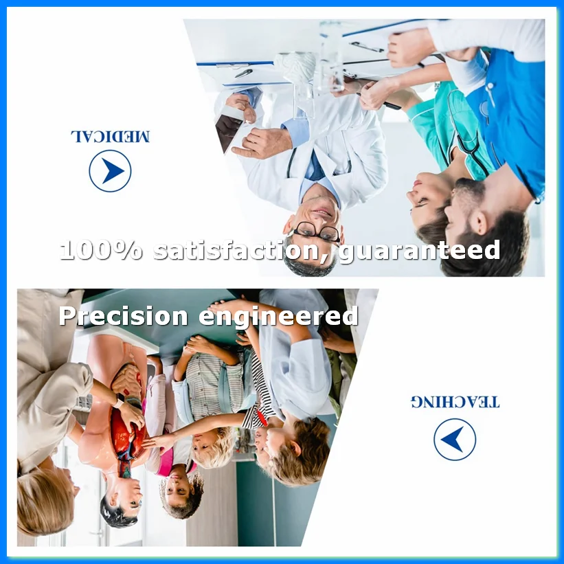 Anatomical Knee Joint with Ligaments Model, Human 1:1 Life Size, for Science Classroom Study, Display Teaching B-A69M
Anatomical Knee Joint with Ligaments Model, Human 1:1 Life Size, for Science Classroom Study, Display Teaching B-A69M