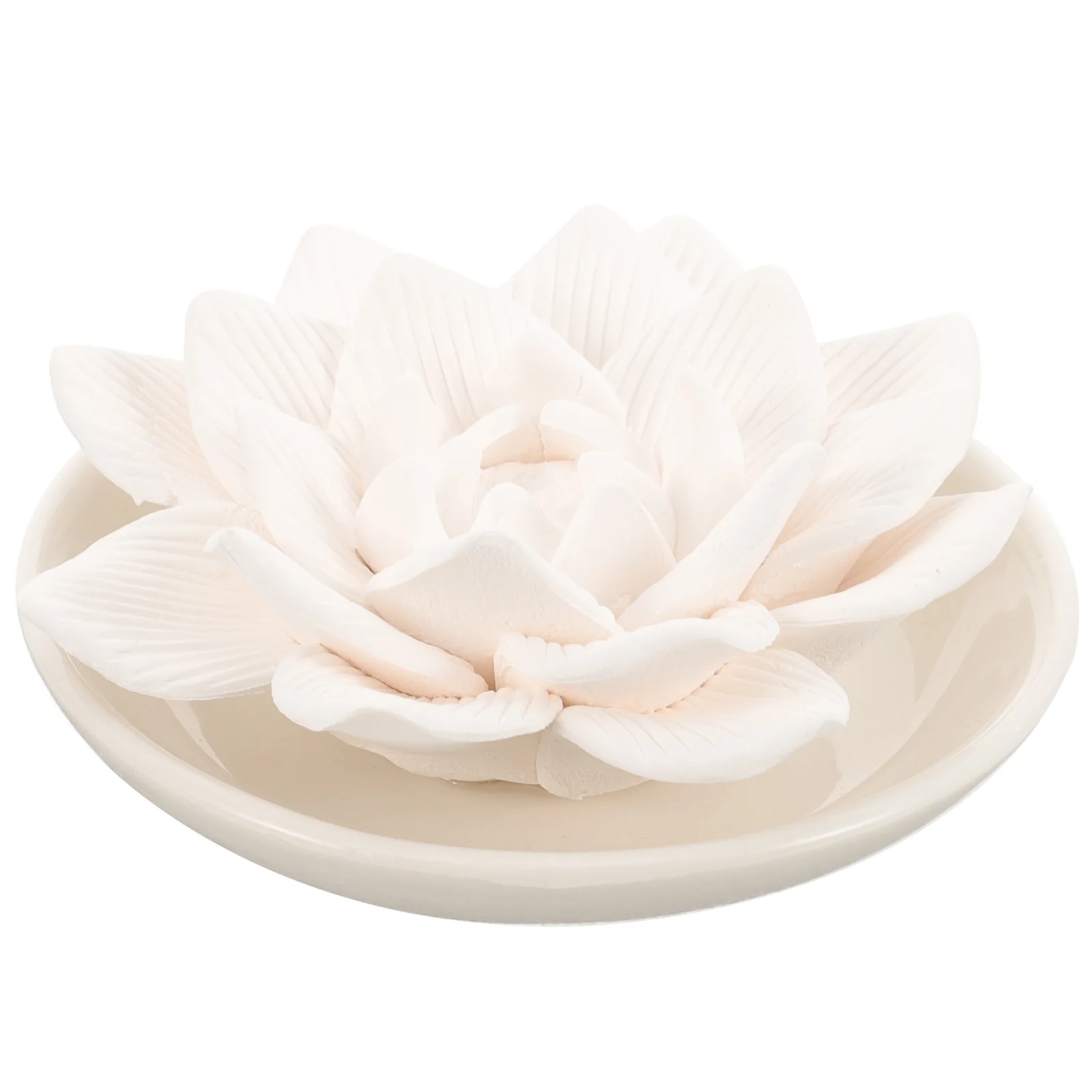 Stone Diffuser Essential Oil Passive Flower Diffuser Aromatherapy Diffuser passive diffuser desk diffuser for office mini
Stone Diffuser Essential Oil Passive Flower Diffuser Aromatherapy Diffuser passive diffuser desk diffuser for office mini