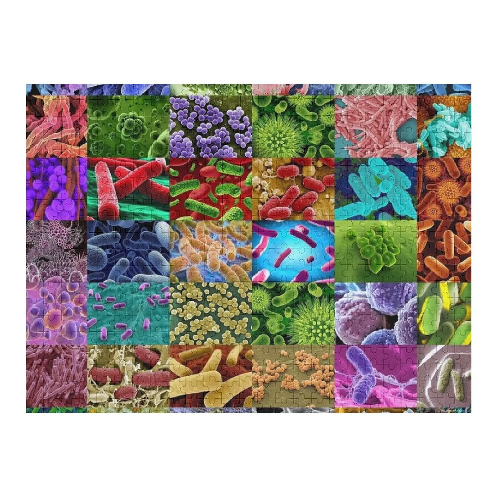 Bacteria Jigsaw Puzzle Animal Personalized Gift Ideas Wooden Animal Puzzle
Bacteria Jigsaw Puzzle Animal Personalized Gift Ideas Wooden Animal Puzzle
