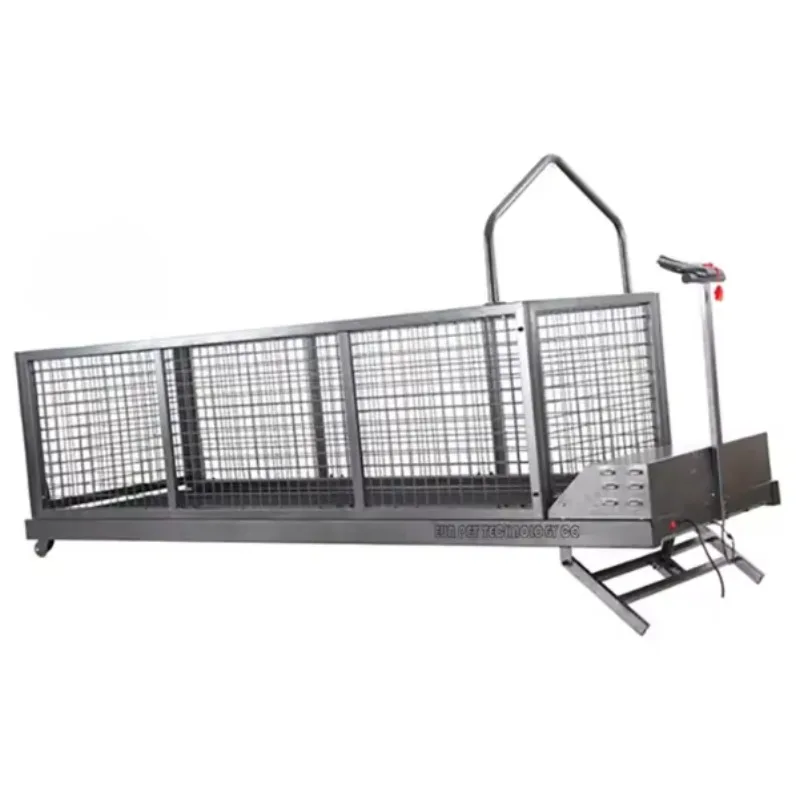 Free Delivery USMILEPET Hot Sale High Quality Dog Training Equipment Treadmill for Large Dog Pet Rehabilitation Dog Training Run
Free Delivery USMILEPET Hot Sale High Quality Dog Training Equipment Treadmill for Large Dog Pet Rehabilitation Dog Training Run