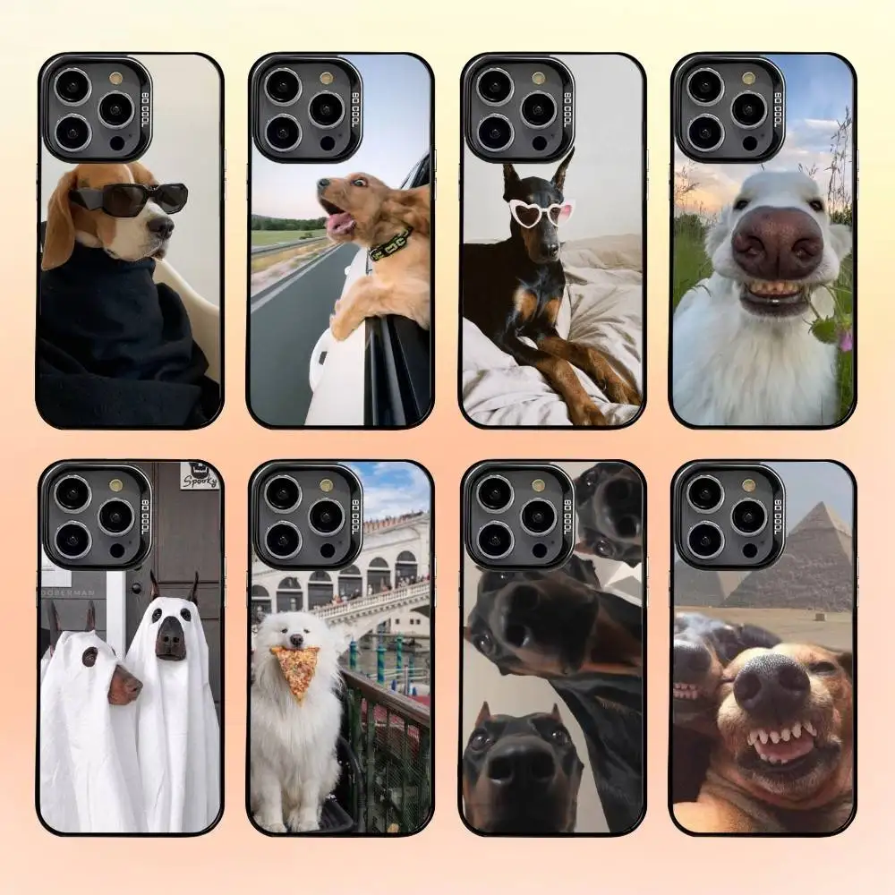Cute and funny dog Phone Case For iPhone 16,15,14,13,12,11,Pro,MAX White Matte Shockproof Cover
Cute and funny dog Phone Case For iPhone 16,15,14,13,12,11,Pro,MAX White Matte Shockproof Cover
