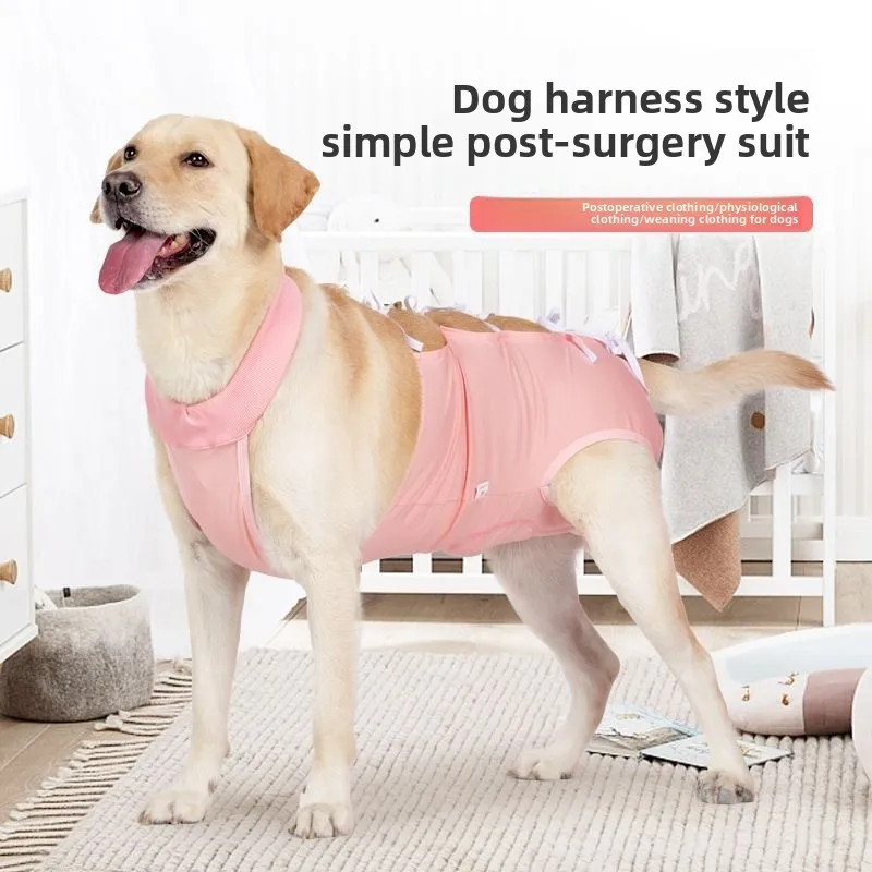 Dog Surgery Recovery Suit for Spay Neuter, Post-Operative Anti Lick Bodysuit Alternative to Cone, Breathable Recovery Shirt
Dog Surgery Recovery Suit for Spay Neuter, Post-Operative Anti Lick Bodysuit Alternative to Cone, Breathable Recovery Shirt