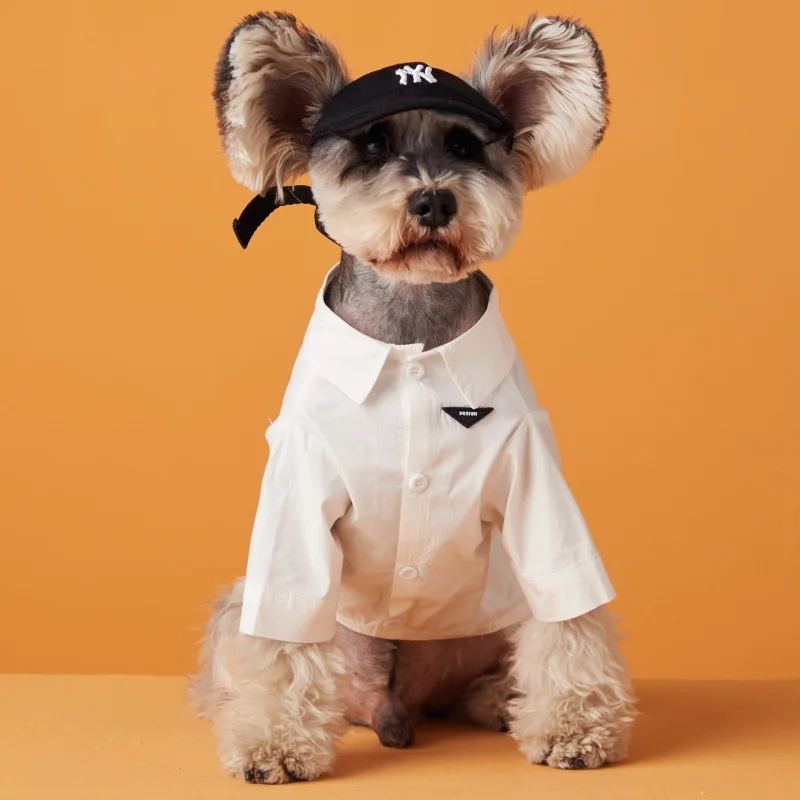 White Shirt for Dog, Summer Clothes, Thin, Solid Color, Base Ride, Schnauzer, Pomeranian, Teddy, Bichon, Pet, Handsome, Trendy
White Shirt for Dog, Summer Clothes, Thin, Solid Color, Base Ride, Schnauzer, Pomeranian, Teddy, Bichon, Pet, Handsome, Trendy