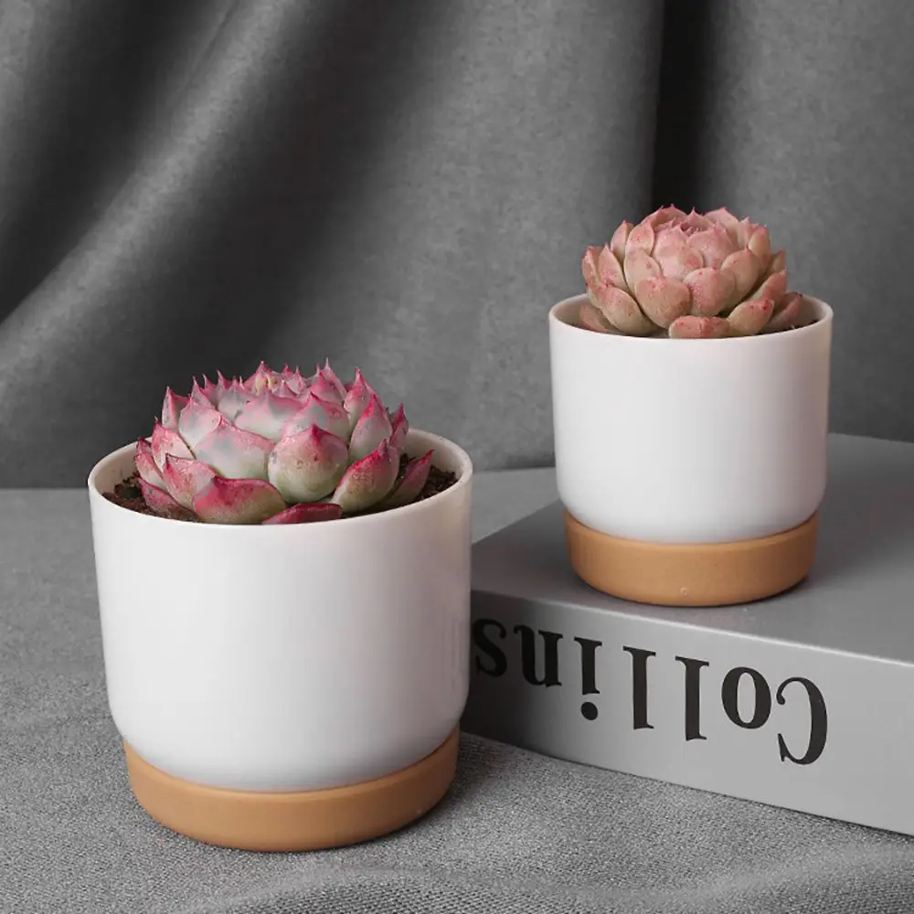 Double-layer with Trays Automatic Water Absorption Table Decor Flower Planter Flowerpot Succulent Planter Pot Garden Supplies
Double-layer with Trays Automatic Water Absorption Table Decor Flower Planter Flowerpot Succulent Planter Pot Garden Supplies