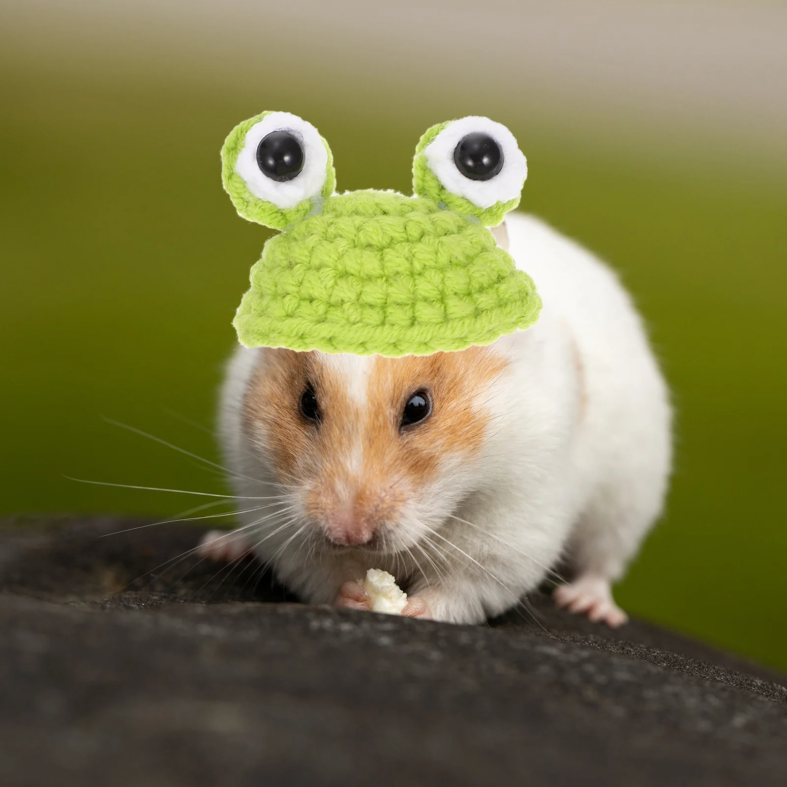 Pet Hats Lightweight Comfortable Adjustable Design Halloween Cosplay Birthday Parties Photo Prop Small Animal Accessories
Pet Hats Lightweight Comfortable Adjustable Design Halloween Cosplay Birthday Parties Photo Prop Small Animal Accessories