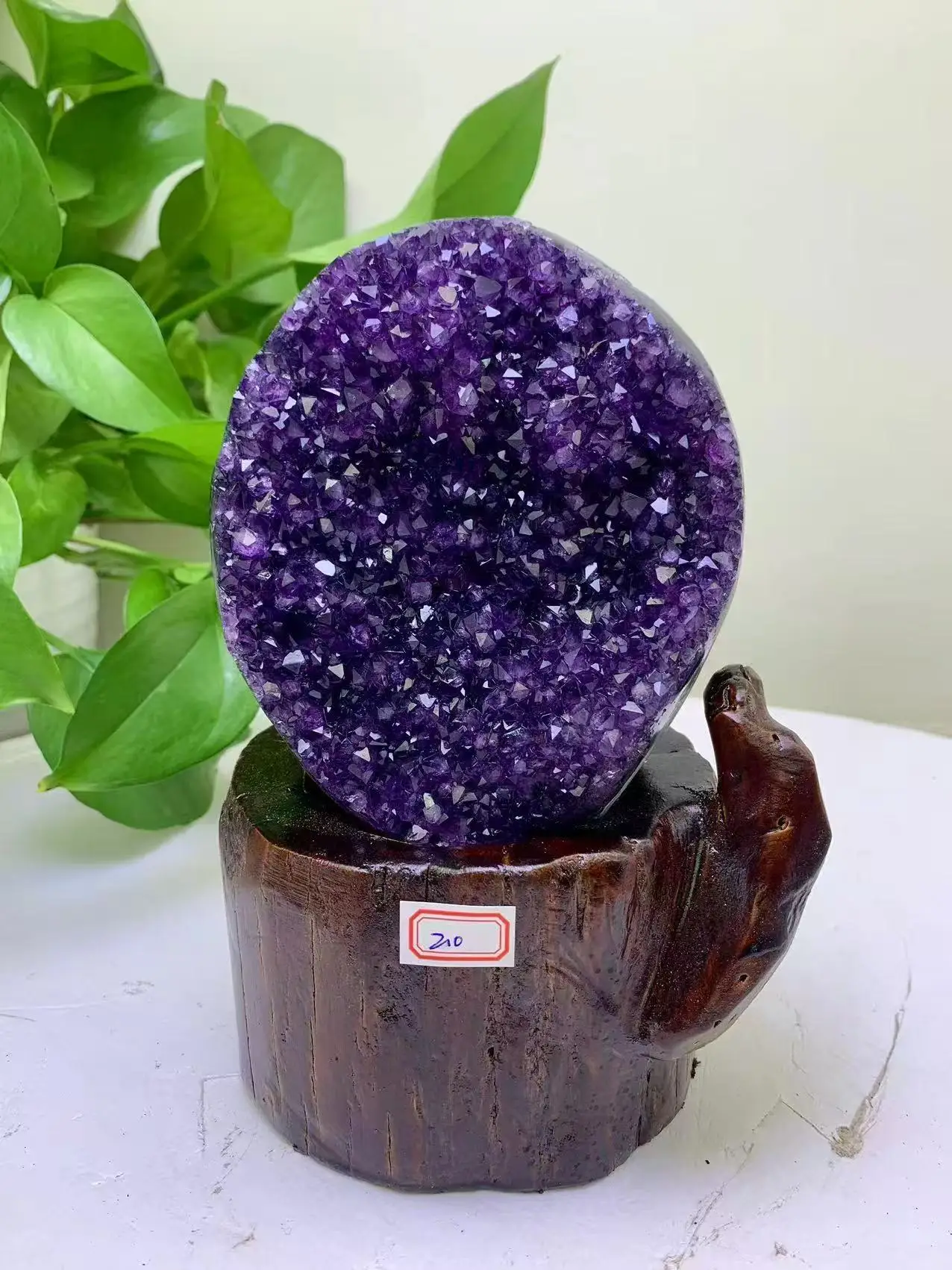 Natural Uruguayan amethyst clusters Quartz Mineral Specimen For DecoratioHome Decoration fengshui
Natural Uruguayan amethyst clusters Quartz Mineral Specimen For DecoratioHome Decoration fengshui
