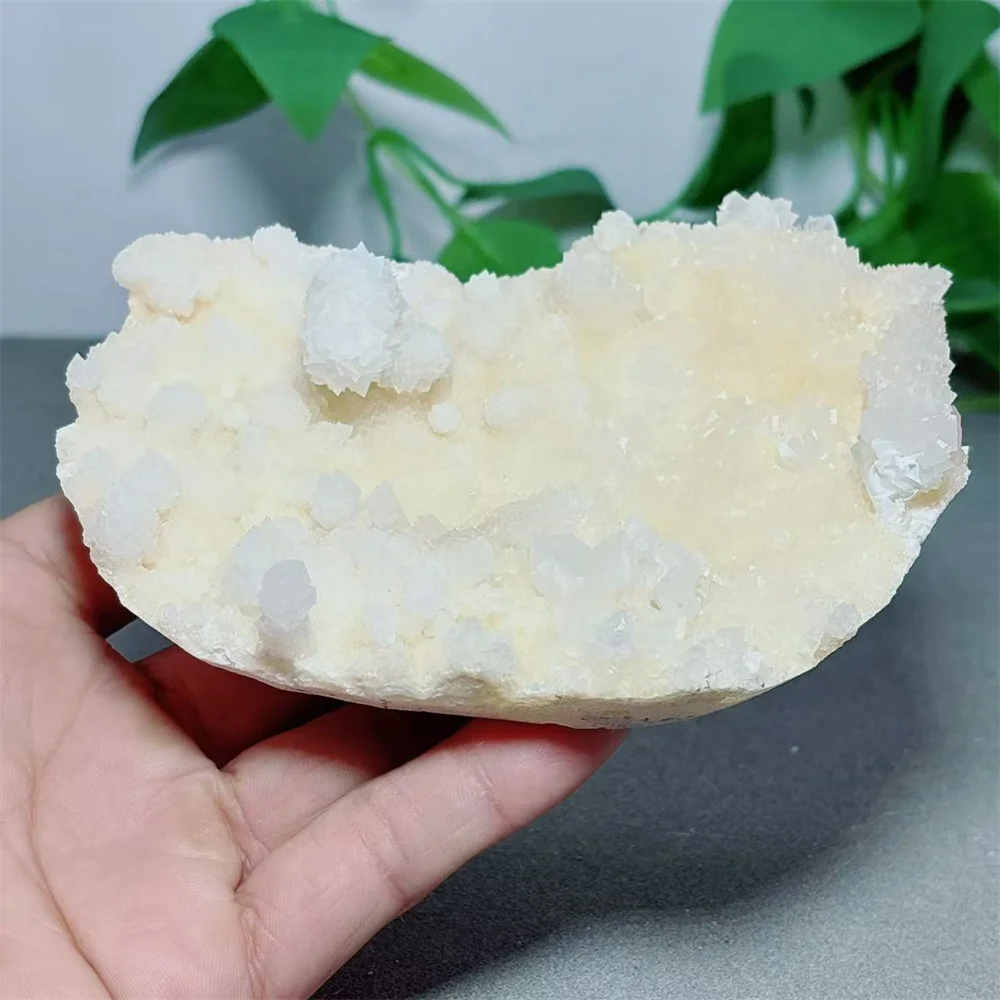 Melaleuca Calcite Raw Specimen Crystal Natural Stone Quartz Minerals Home Decoritems Reiki Gifts Energy Healing Luck Love
Melaleuca Calcite Raw Specimen Crystal Natural Stone Quartz Minerals Home Decoritems Reiki Gifts Energy Healing Luck Love