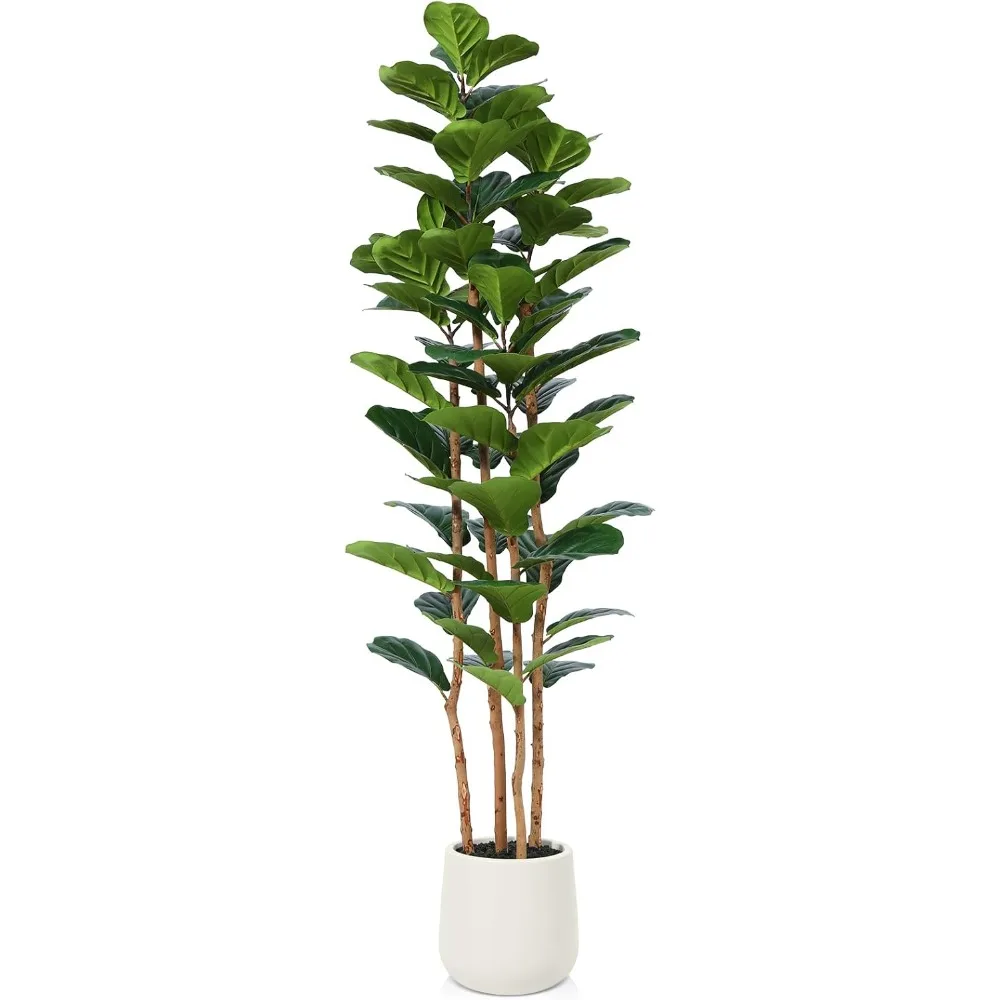 Artificial Lotus Leaf Fig Tree with White Flower Pot, 6-foot Tall Fake Tree, Decorated with Natural Trunk for Home Decor
Artificial Lotus Leaf Fig Tree with White Flower Pot, 6-foot Tall Fake Tree, Decorated with Natural Trunk for Home Decor