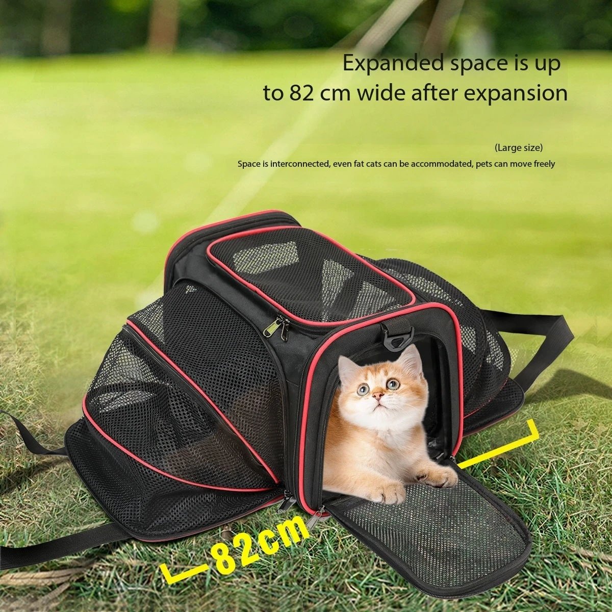 Cat Supplies Portable cat bag for going out and portable pet bag for small dog bag foldable breathable cat slanted shoulder bag
Cat Supplies Portable cat bag for going out and portable pet bag for small dog bag foldable breathable cat slanted shoulder bag