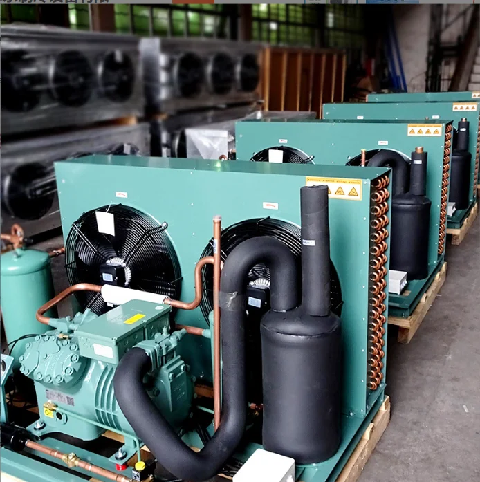Large Logistics Cold Storage Room Walking in Equipment Cold Room Storage Refrigeration Condenser Unit Cold Room Price
Large Logistics Cold Storage Room Walking in Equipment Cold Room Storage Refrigeration Condenser Unit Cold Room Price