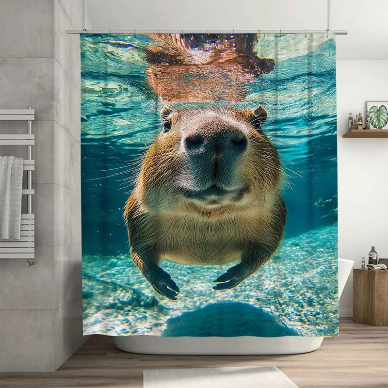 High-quality waterproof shower curtains featuring adorable underwater animals designed for a cozy bathroom experience. Great gif
High-quality waterproof shower curtains featuring adorable underwater animals designed for a cozy bathroom experience. Great gif