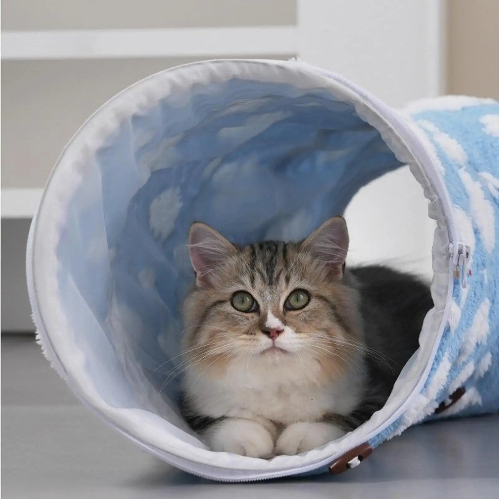 Туннель для игры в кошке, съемное гнездо с шариком-пончиком, кошачья кровать для сна, котенка, щенка, маленьких животных, собак, в помещении, спальня, гостиная
Туннель для игры в кошке, съемное гнездо с шариком-пончиком, кошачья кровать для сна, котенка, щенка, маленьких животных, собак, в помещении, спальня, гостиная