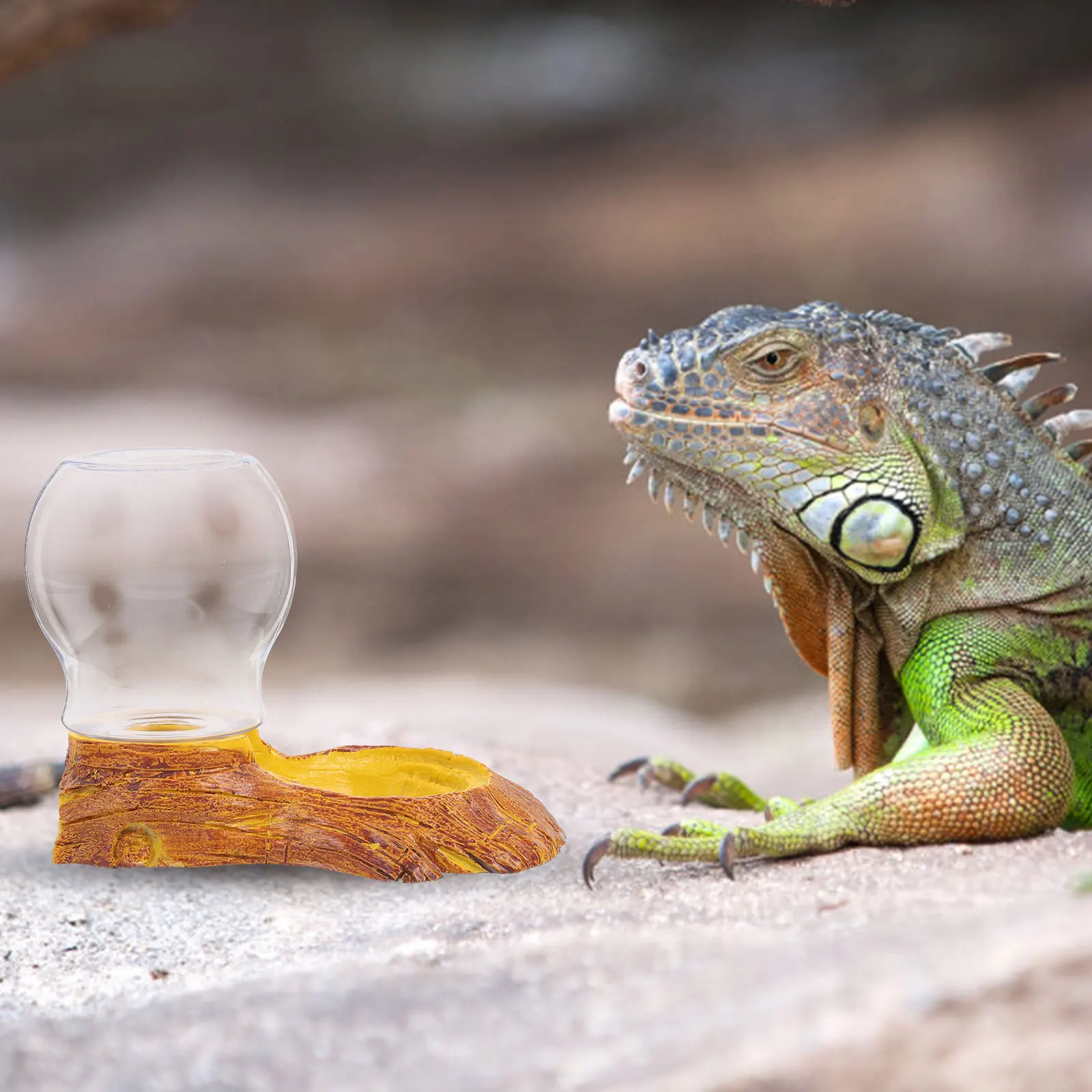 1 Set Reptile Water Feeder Premium Material Convenient Water Dispenser Suitable Size for Reptiles Gecko Turtle Spider Reptile
1 Set Reptile Water Feeder Premium Material Convenient Water Dispenser Suitable Size for Reptiles Gecko Turtle Spider Reptile