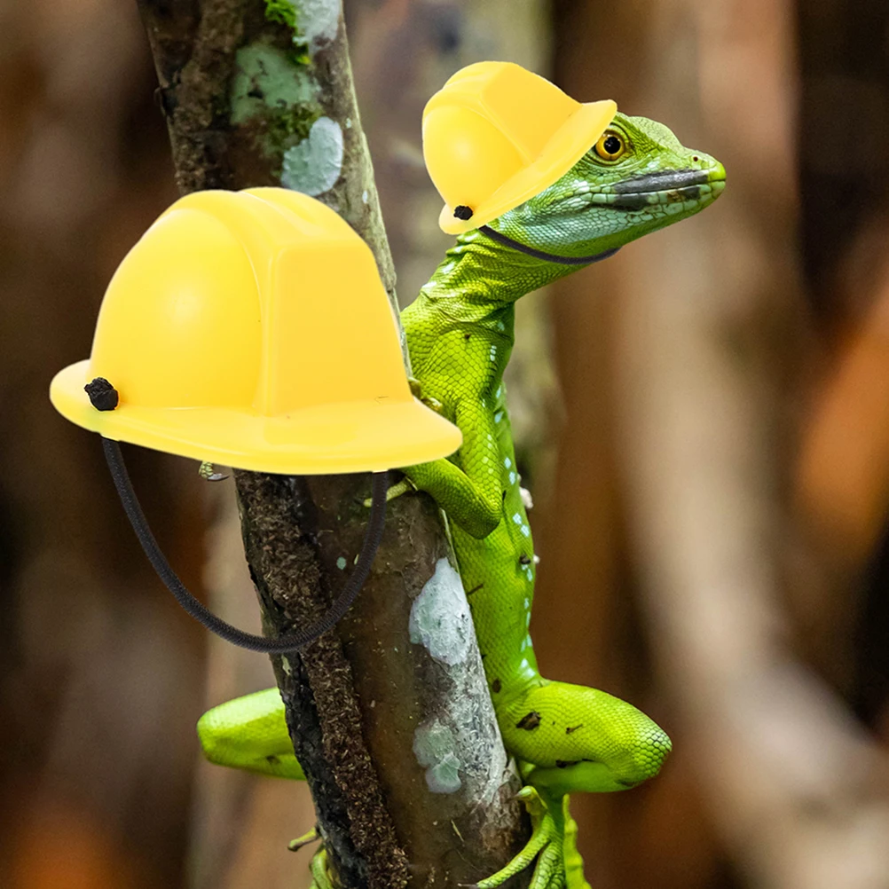 Chameleon Hat Lizard Dress up Construction for Pet Small Animal Tiny Hats Plastic Mini Decorated Lizards
Chameleon Hat Lizard Dress up Construction for Pet Small Animal Tiny Hats Plastic Mini Decorated Lizards