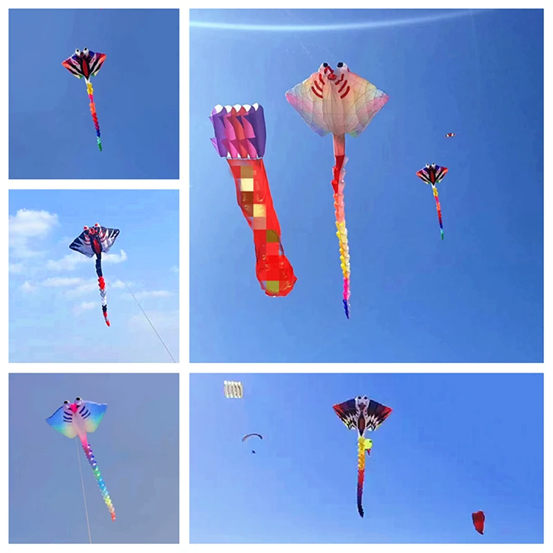 Free Shipping inflatable kites 800cm fish kites flying for adults kites line professional parachute to jump surfing kite Kevlar
Free Shipping inflatable kites 800cm fish kites flying for adults kites line professional parachute to jump surfing kite Kevlar