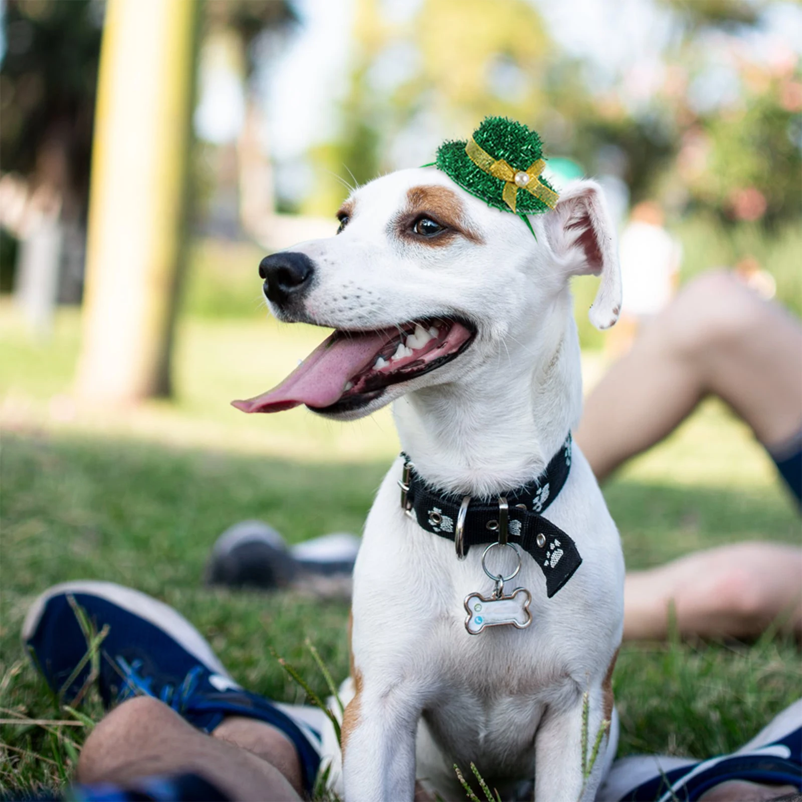 3pcs Pet Green Top Hat Headband Lightweight Durable Hair Accessory St Patrick Day Kids Hoop Prop Irish Festival Decor
3pcs Pet Green Top Hat Headband Lightweight Durable Hair Accessory St Patrick Day Kids Hoop Prop Irish Festival Decor