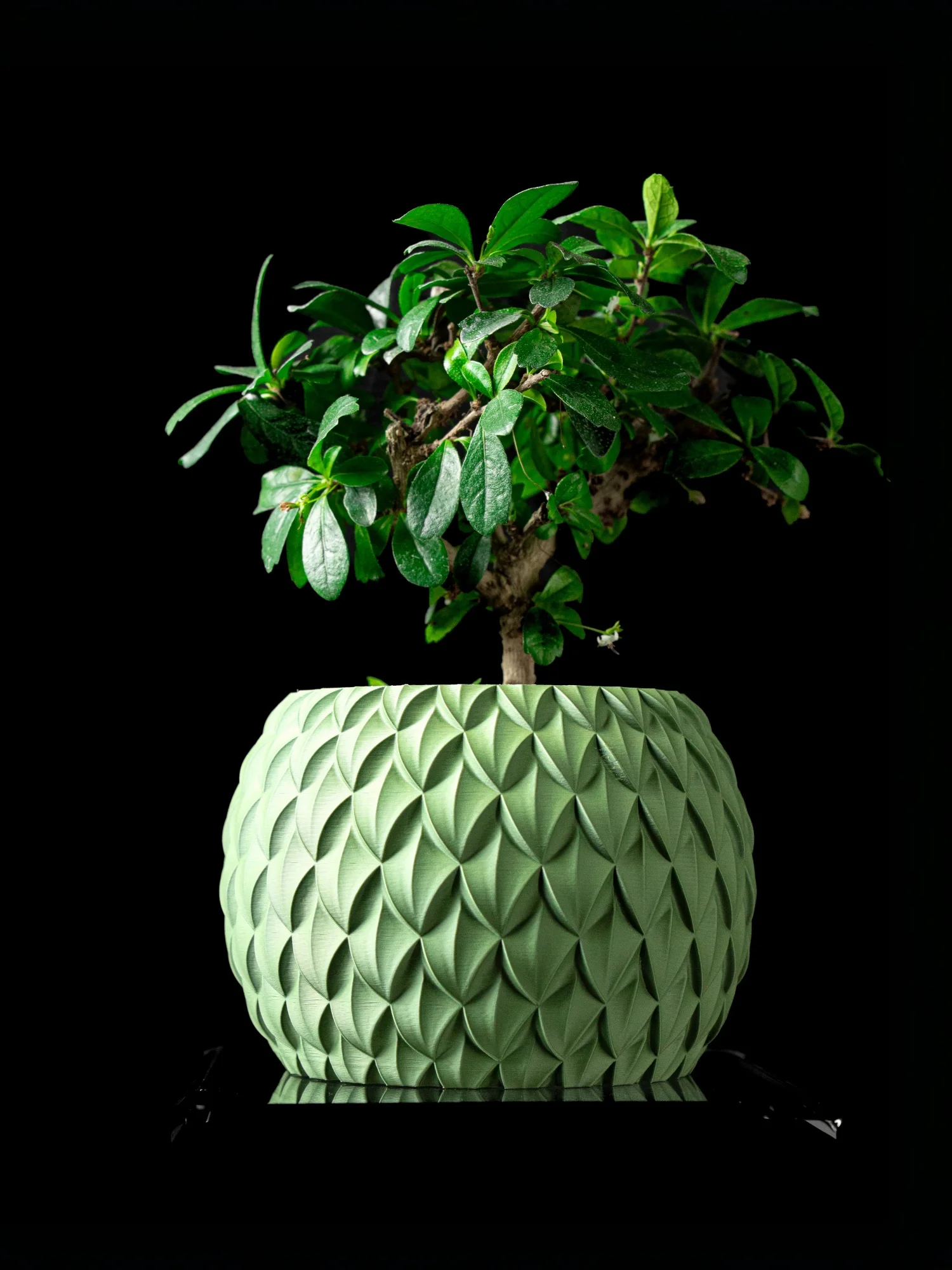 Modern Minimalist 3D Printed Plant Pot – Biodegradable Flower Planter for Home Decor, Eco-Friendly Sustainable Gift (Scale)
Modern Minimalist 3D Printed Plant Pot – Biodegradable Flower Planter for Home Decor, Eco-Friendly Sustainable Gift (Scale)
