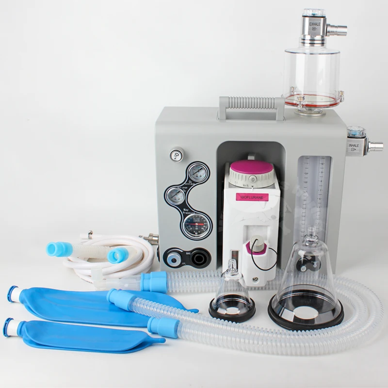 Portable Veterinary Anesthesia Machine Animal Cat Dog Anesthesia Device Pet Clinic Hospital Equipment
Portable Veterinary Anesthesia Machine Animal Cat Dog Anesthesia Device Pet Clinic Hospital Equipment