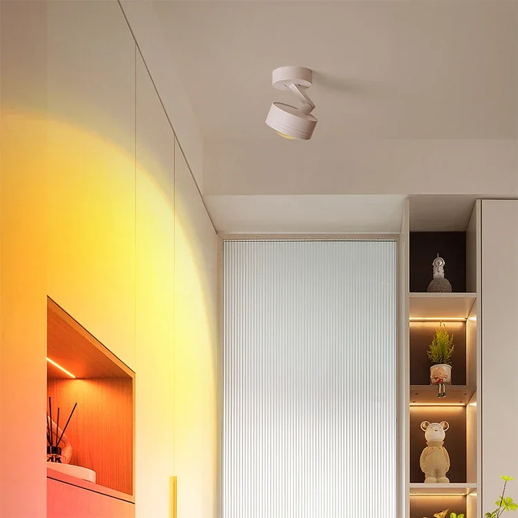 High Quality Dusk White Adjustable Aluminum Spotlight 7W Indoor Led Wall Lamp for Home
High Quality Dusk White Adjustable Aluminum Spotlight 7W Indoor Led Wall Lamp for Home