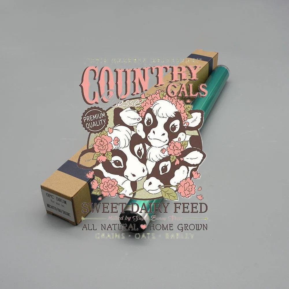 4pcs 3081 4081 5081 6081 OPC Drum For Sharp MX-60NRSA MX-2630 3050 3070 3550 3570 4050 4070 MX5050 5070 6050 6070 2630N
4pcs 3081 4081 5081 6081 OPC Drum For Sharp MX-60NRSA MX-2630 3050 3070 3550 3570 4050 4070 MX5050 5070 6050 6070 2630N