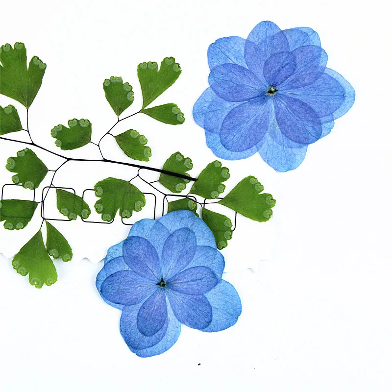 25pcs/2-3cm Pressed Delphinium Petals Real Flower Petals DIY Cell Phone Case Nail Aromatherapy Photo Frame Material Face Makeup
25pcs/2-3cm Pressed Delphinium Petals Real Flower Petals DIY Cell Phone Case Nail Aromatherapy Photo Frame Material Face Makeup