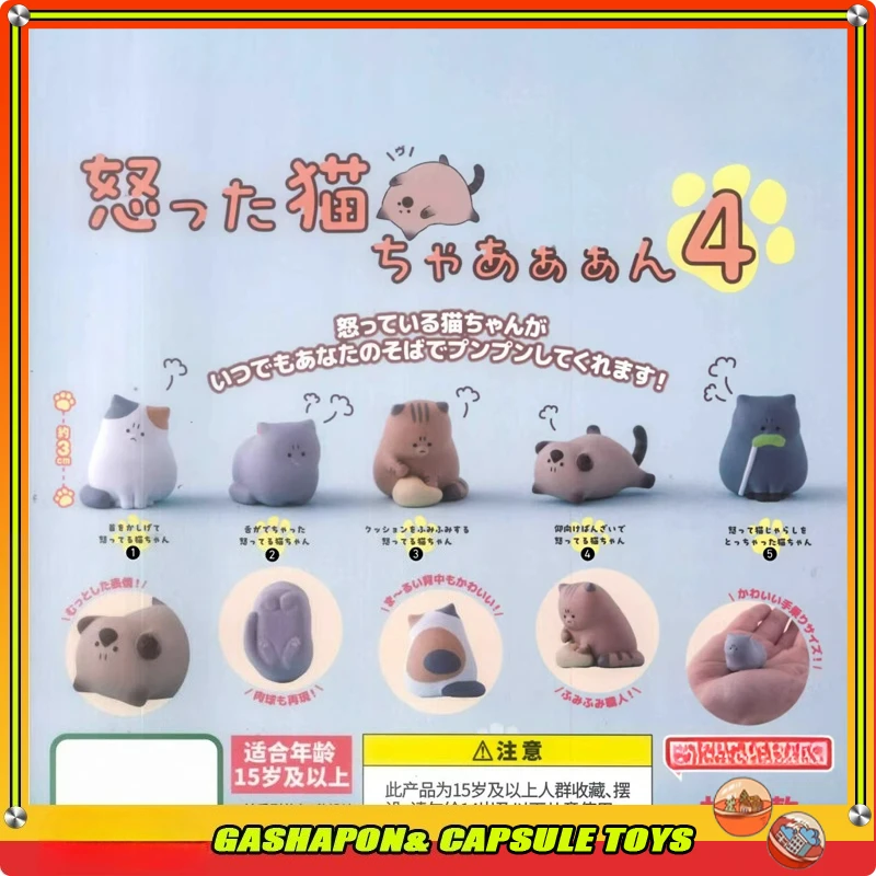 Genuine Action Figure Model Angry Kitten Cute Little Cat Cute Collectible Toys Gashapon Ball Fast Shipping Collect Ornaments
Genuine Action Figure Model Angry Kitten Cute Little Cat Cute Collectible Toys Gashapon Ball Fast Shipping Collect Ornaments
