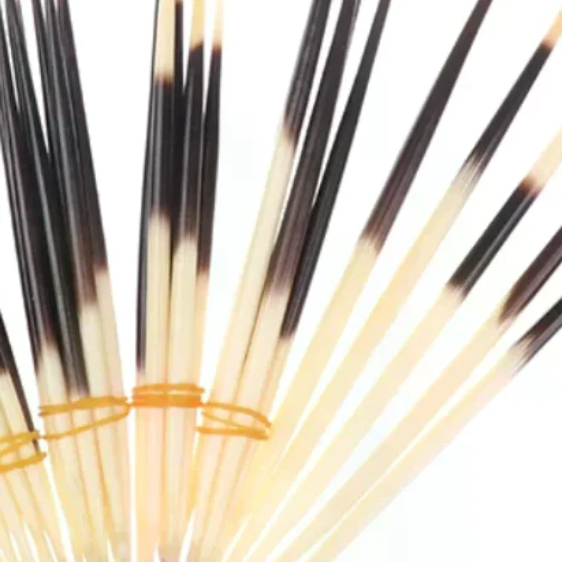 Porcupine Quills Hair Stick Indian Crafts Accessories Fishing Buoy DIY Natural Bone Jewelry Hairpin Accessories
Porcupine Quills Hair Stick Indian Crafts Accessories Fishing Buoy DIY Natural Bone Jewelry Hairpin Accessories