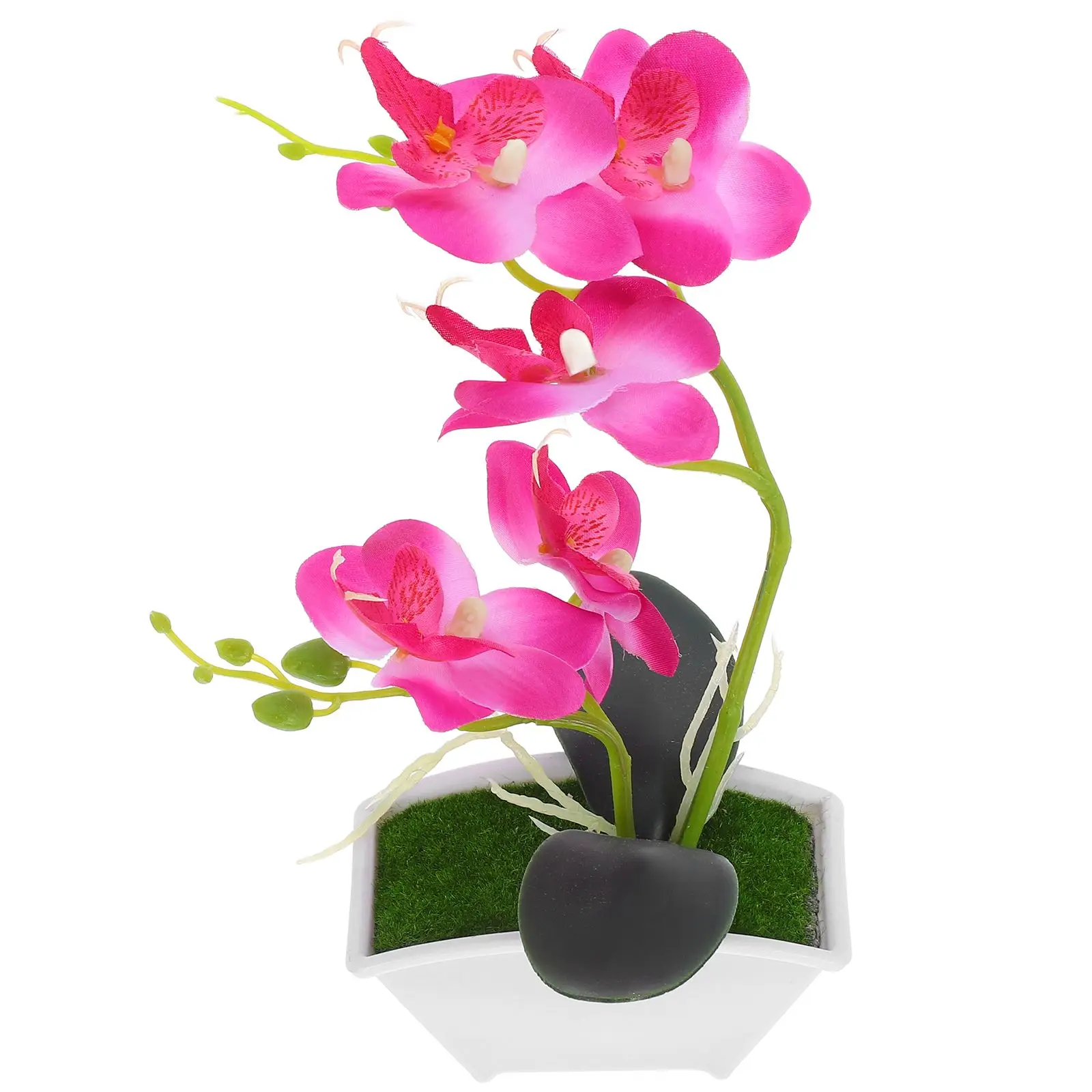 2 Pcs Mini Realistic Artificial Fruits Bonsai Desk Plant Decor Photography PropsFlowers Materials Stable Design
2 Pcs Mini Realistic Artificial Fruits Bonsai Desk Plant Decor Photography PropsFlowers Materials Stable Design