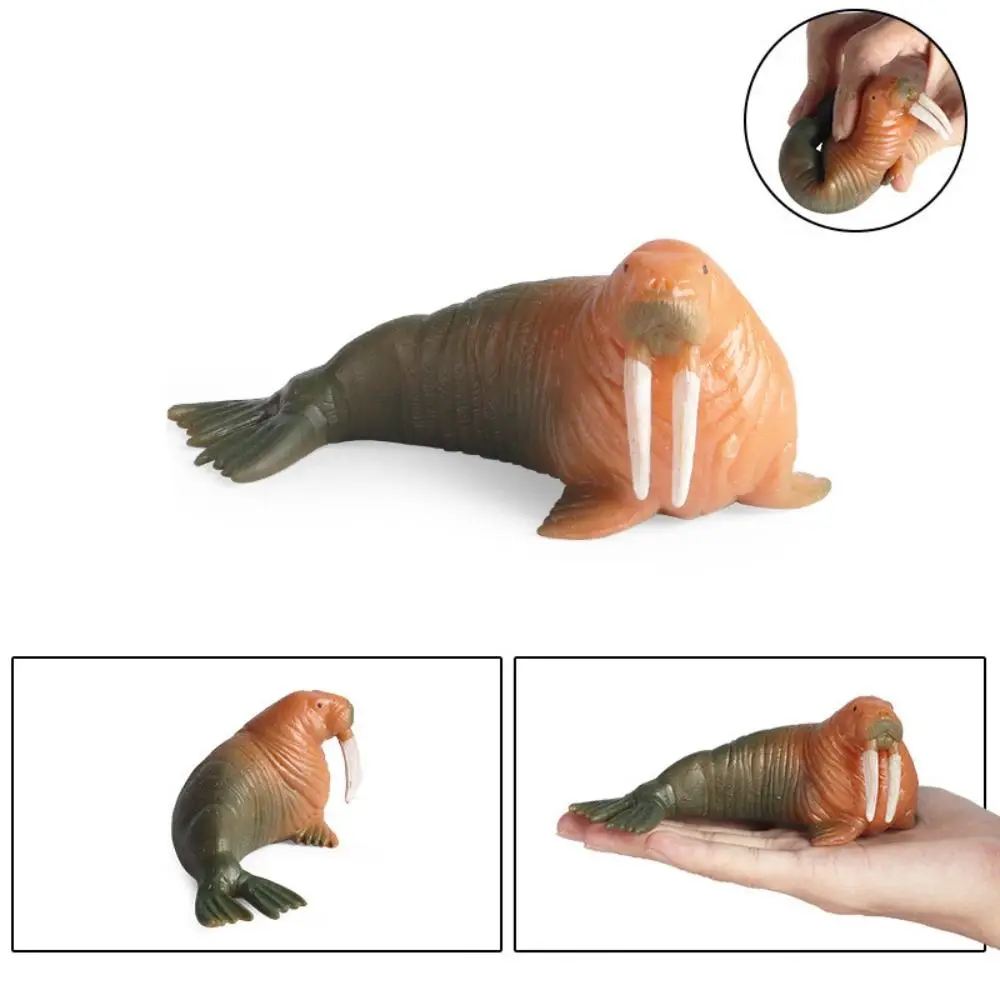 Soft Squid Squeeze Sea Animals Pufferfish Octopus Simulation Marine Animals TPR Crab Model Sea Life Model Kids Adults
Soft Squid Squeeze Sea Animals Pufferfish Octopus Simulation Marine Animals TPR Crab Model Sea Life Model Kids Adults