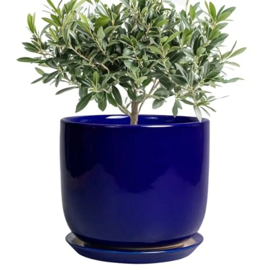 Ceramic Plant Pot - Decorative Round Planter for Indoor Plants with Drainage Hole and Saucer, Home House Room Office Garden Dec
Ceramic Plant Pot - Decorative Round Planter for Indoor Plants with Drainage Hole and Saucer, Home House Room Office Garden Dec