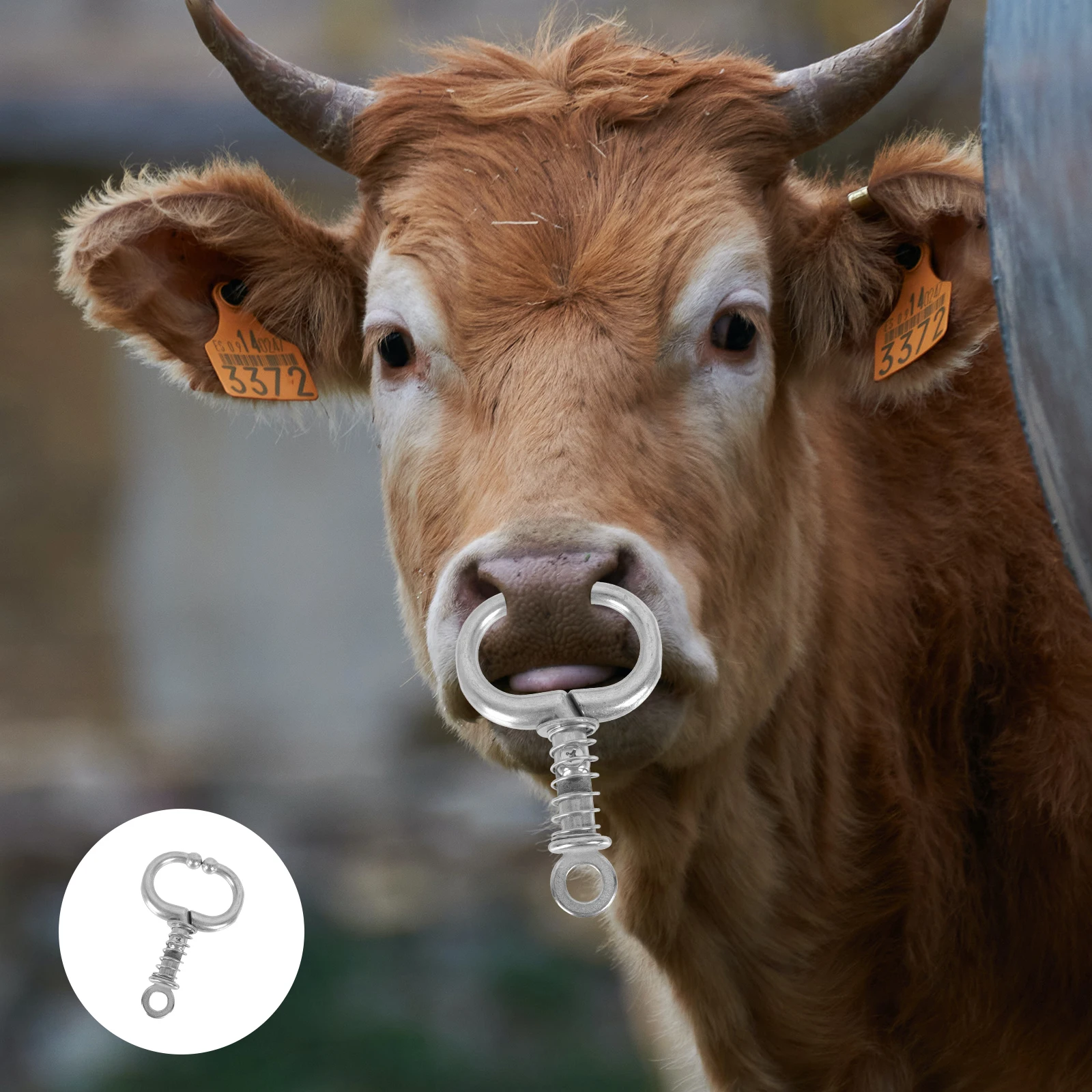 Bull Nose Clip Cattle Nose Pliers Stainless Steel Traction Ring Pulling Tool Livestock Circle Durable Safe Reliable Thickened 
Bull Nose Clip Cattle Nose Pliers Stainless Steel Traction Ring Pulling Tool Livestock Circle Durable Safe Reliable Thickened