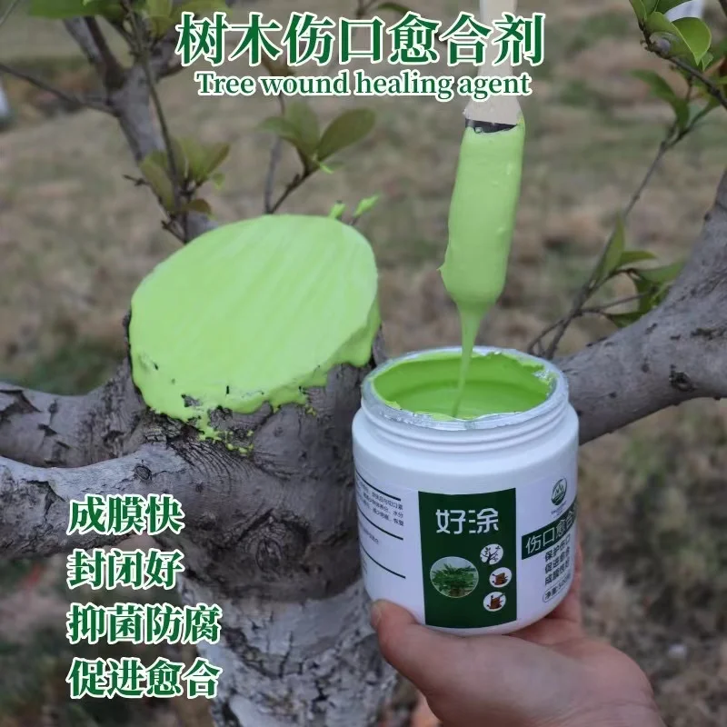 Tree Wound Bonsai Cut Paste Plant Bonsai Cut Wound Paste Smear Grafting Pruning Sealer Tree Repair Ointment Agent Repair Tools
Tree Wound Bonsai Cut Paste Plant Bonsai Cut Wound Paste Smear Grafting Pruning Sealer Tree Repair Ointment Agent Repair Tools