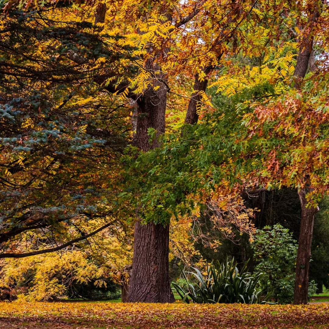 Автомобильный экран Android 14, головное устройство для Hyundai Rohens Coupe Genesis Coupe 2009-2012, мультимедийная навигация, радио, беспроводной Carplay
Автомобильный экран Android 14, головное устройство для Hyundai Rohens Coupe Genesis Coupe 2009-2012, мультимедийная навигация, радио, беспроводной Carplay