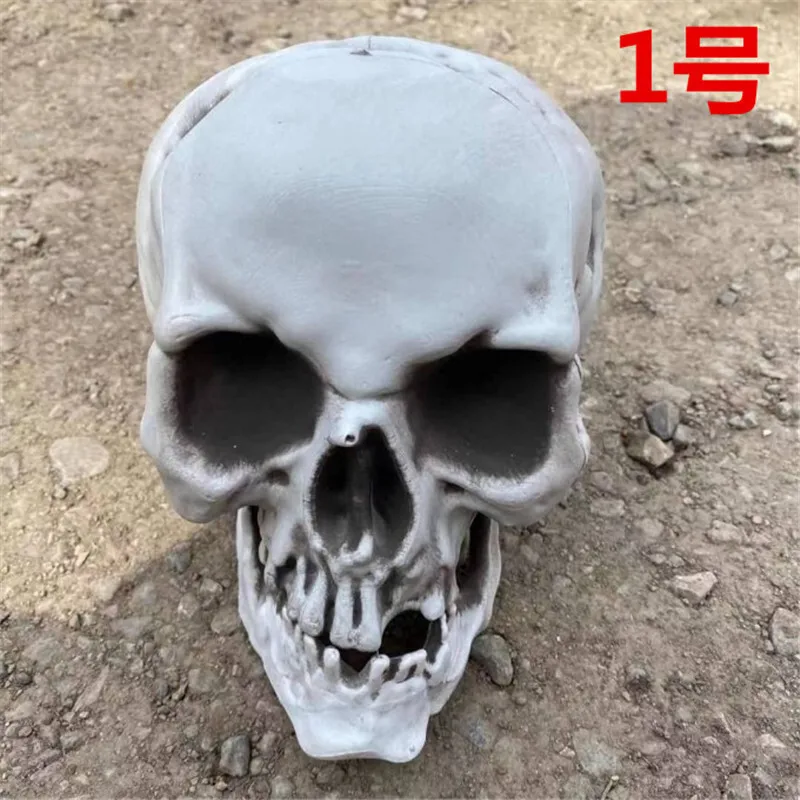 New Human Skull Model Ghost Festival Halloween Decoration Props Skull Halloween skeleton
New Human Skull Model Ghost Festival Halloween Decoration Props Skull Halloween skeleton