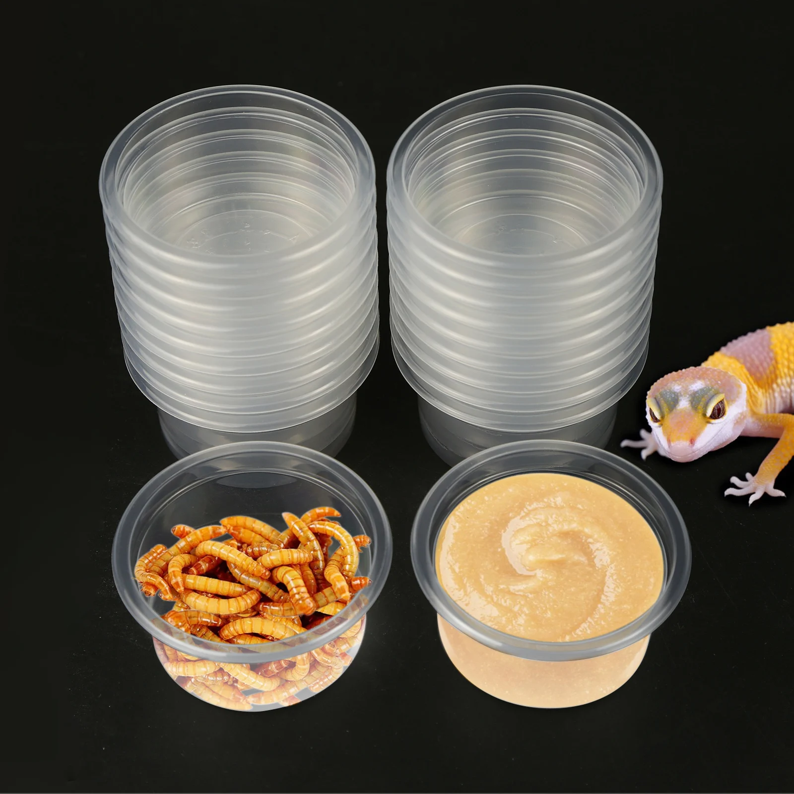 20pcs, Plastic Gecko Food and Water Feeding Cup, Reptile Feeding Bowl Replacement Bowl, Suitable for Lizards and Other Small Pet
20pcs, Plastic Gecko Food and Water Feeding Cup, Reptile Feeding Bowl Replacement Bowl, Suitable for Lizards and Other Small Pet