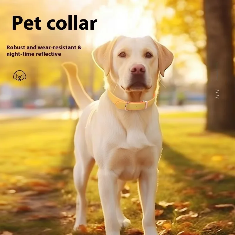 Fashion Adjustable Dog Leash Collar Reflective Pet Supplies Collars Waterproof Collar Metal Buckle for Big Dog
Fashion Adjustable Dog Leash Collar Reflective Pet Supplies Collars Waterproof Collar Metal Buckle for Big Dog