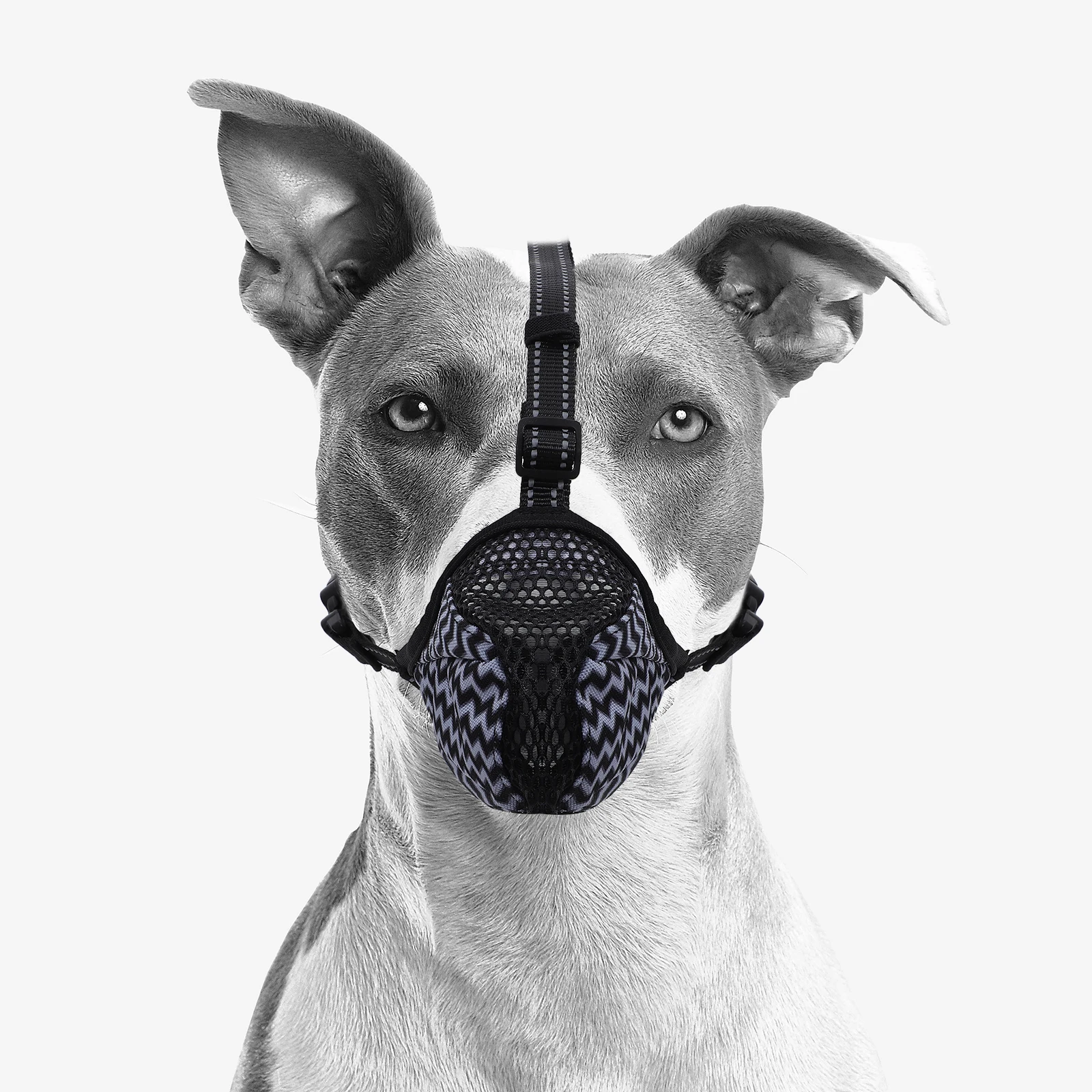 Dog Muzzle for Large Dogs Anti Bark Breathable Mouth Cover Adjustable Grey Stripe L Size Walking Puppy Protector
Dog Muzzle for Large Dogs Anti Bark Breathable Mouth Cover Adjustable Grey Stripe L Size Walking Puppy Protector