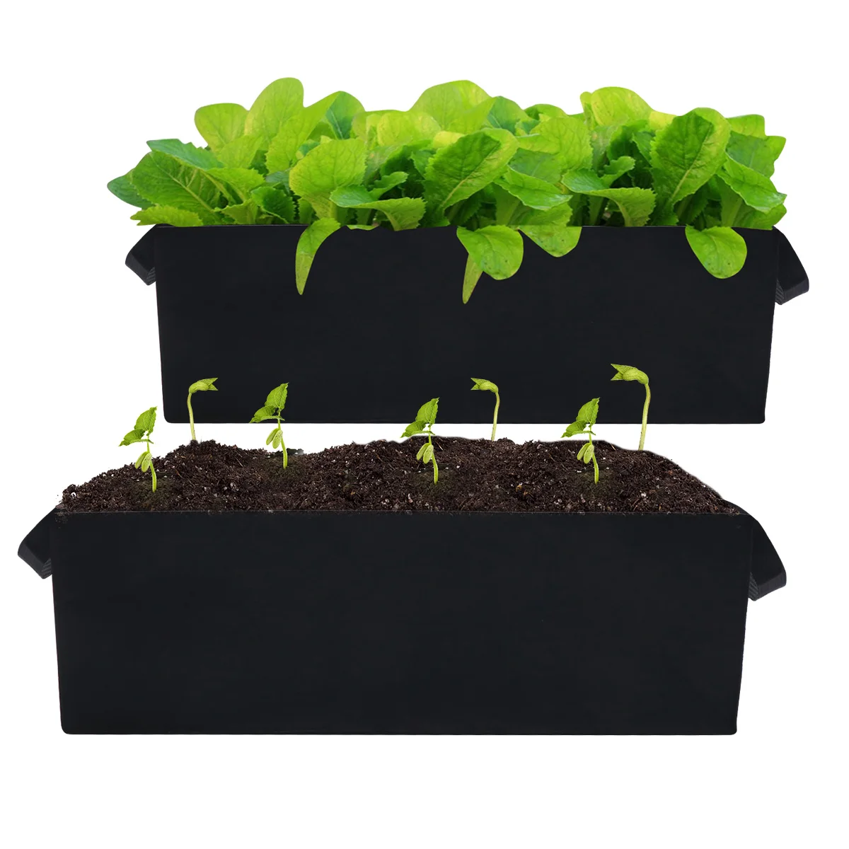 2pcs Planting Felt Planting Pouch Grow Lightweight Durable Gardening Pouch Herbs Vegetables Succulents
2pcs Planting Felt Planting Pouch Grow Lightweight Durable Gardening Pouch Herbs Vegetables Succulents