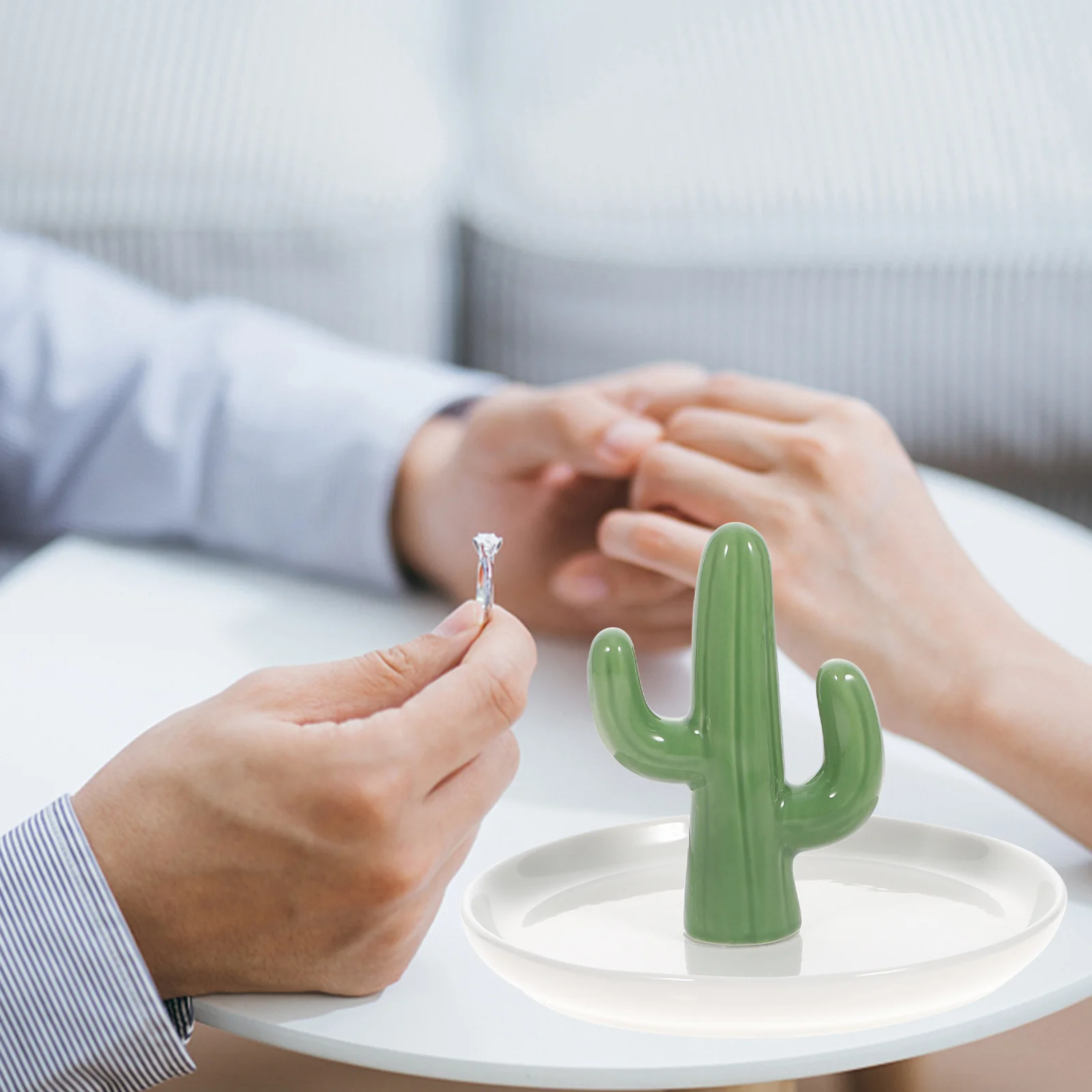 1Pcs White Porcelain Jewelry Tray Ceramic Holder with Green Cactus Ornament for Rings Earrings Bracelets Display
1Pcs White Porcelain Jewelry Tray Ceramic Holder with Green Cactus Ornament for Rings Earrings Bracelets Display