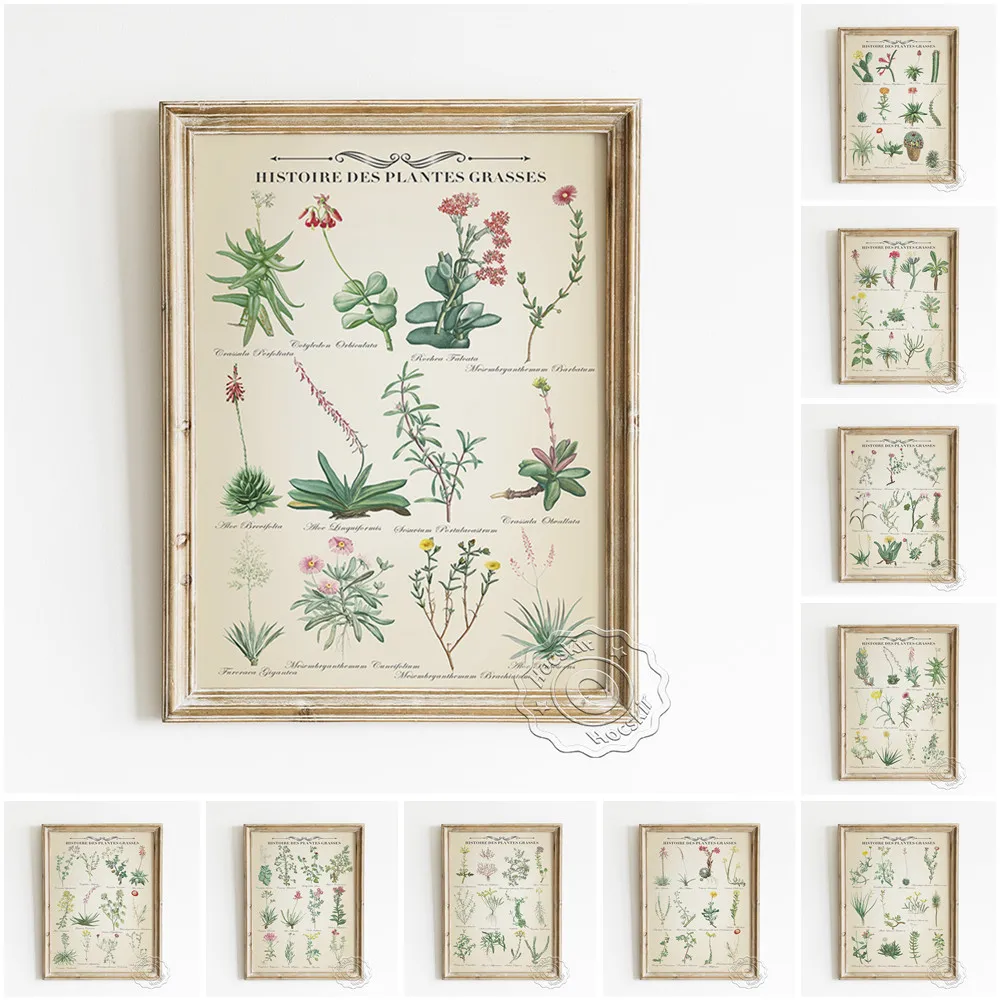 Plant History Vintage Art Print Poster Succulent Illustration Canvas Painting Garden Decor Wall Stickers
Plant History Vintage Art Print Poster Succulent Illustration Canvas Painting Garden Decor Wall Stickers
