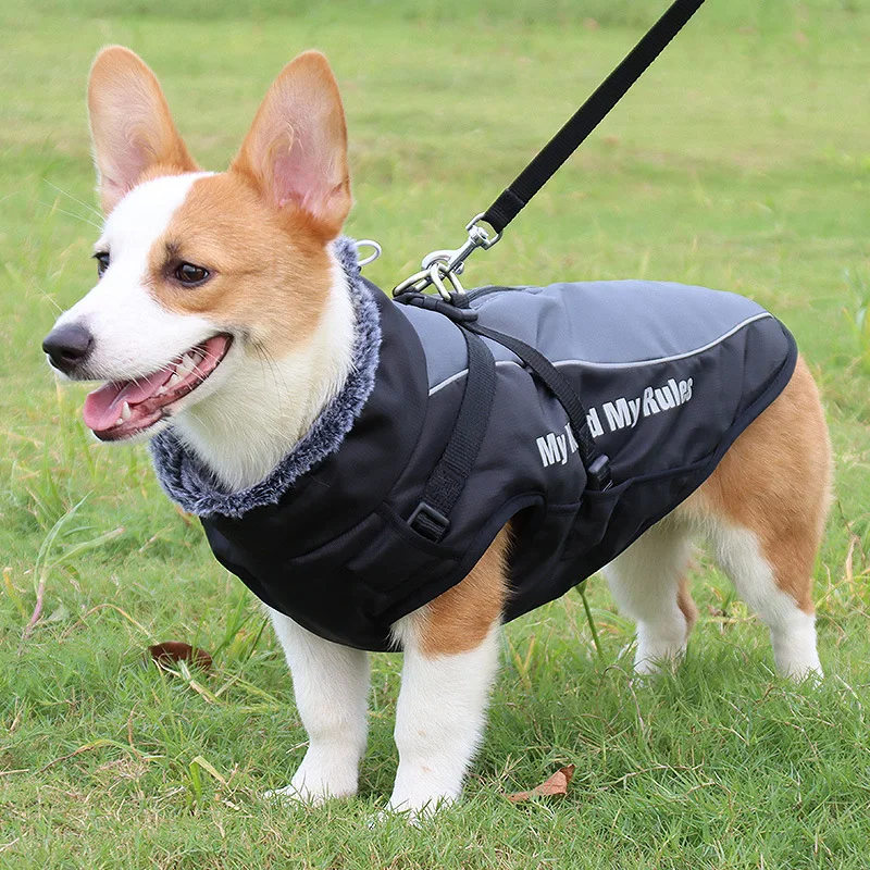Fashion Pet Jacket Reflective and Warm Comfortable Dog Clothes for The Winter High-Quality Pet Coats XL-6XL
Fashion Pet Jacket Reflective and Warm Comfortable Dog Clothes for The Winter High-Quality Pet Coats XL-6XL