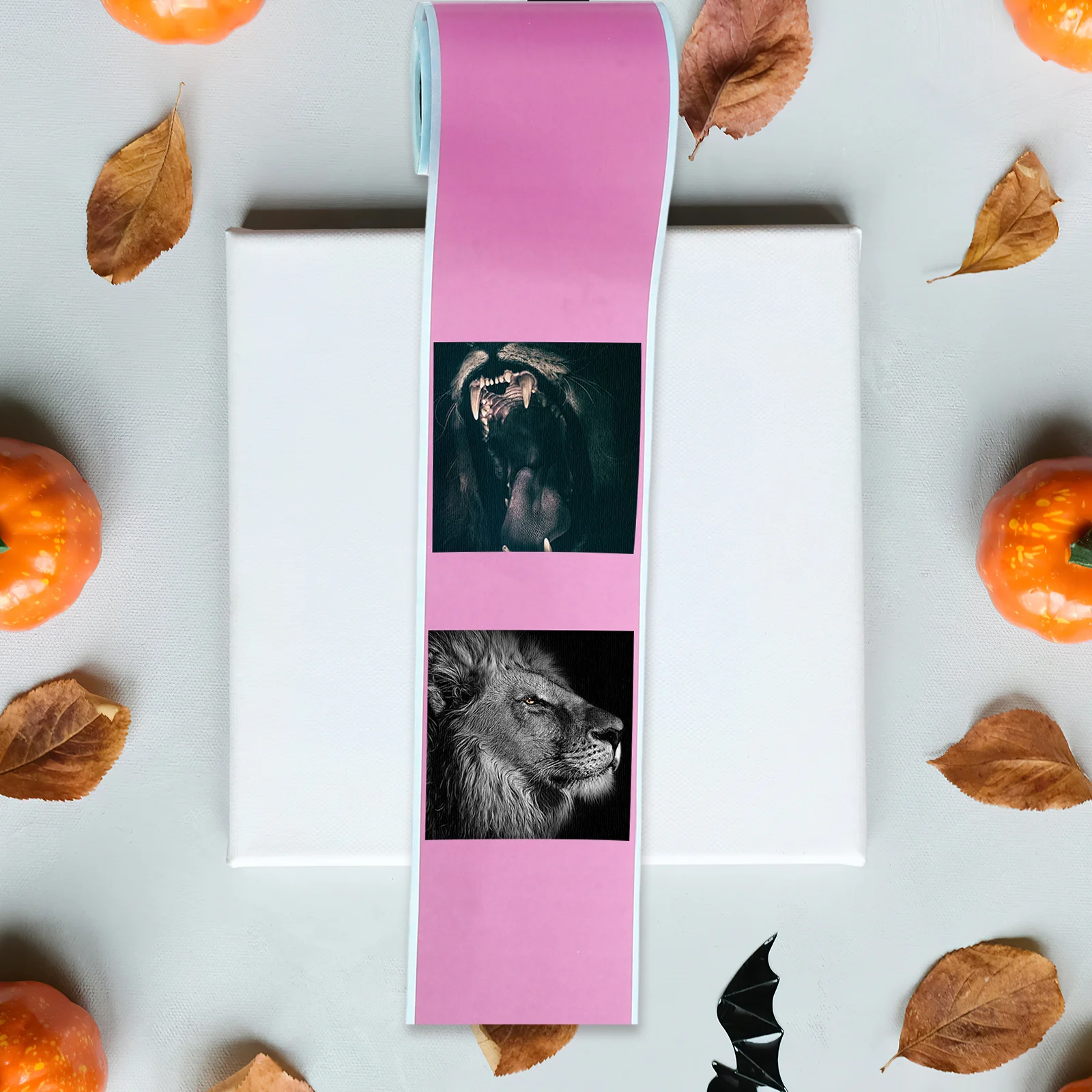 4 Rolls Thermal Labels Self Adhesive Thermal Printer Stickers for Name Tags Price Tags Bottle Labels Sorting
4 Rolls Thermal Labels Self Adhesive Thermal Printer Stickers for Name Tags Price Tags Bottle Labels Sorting