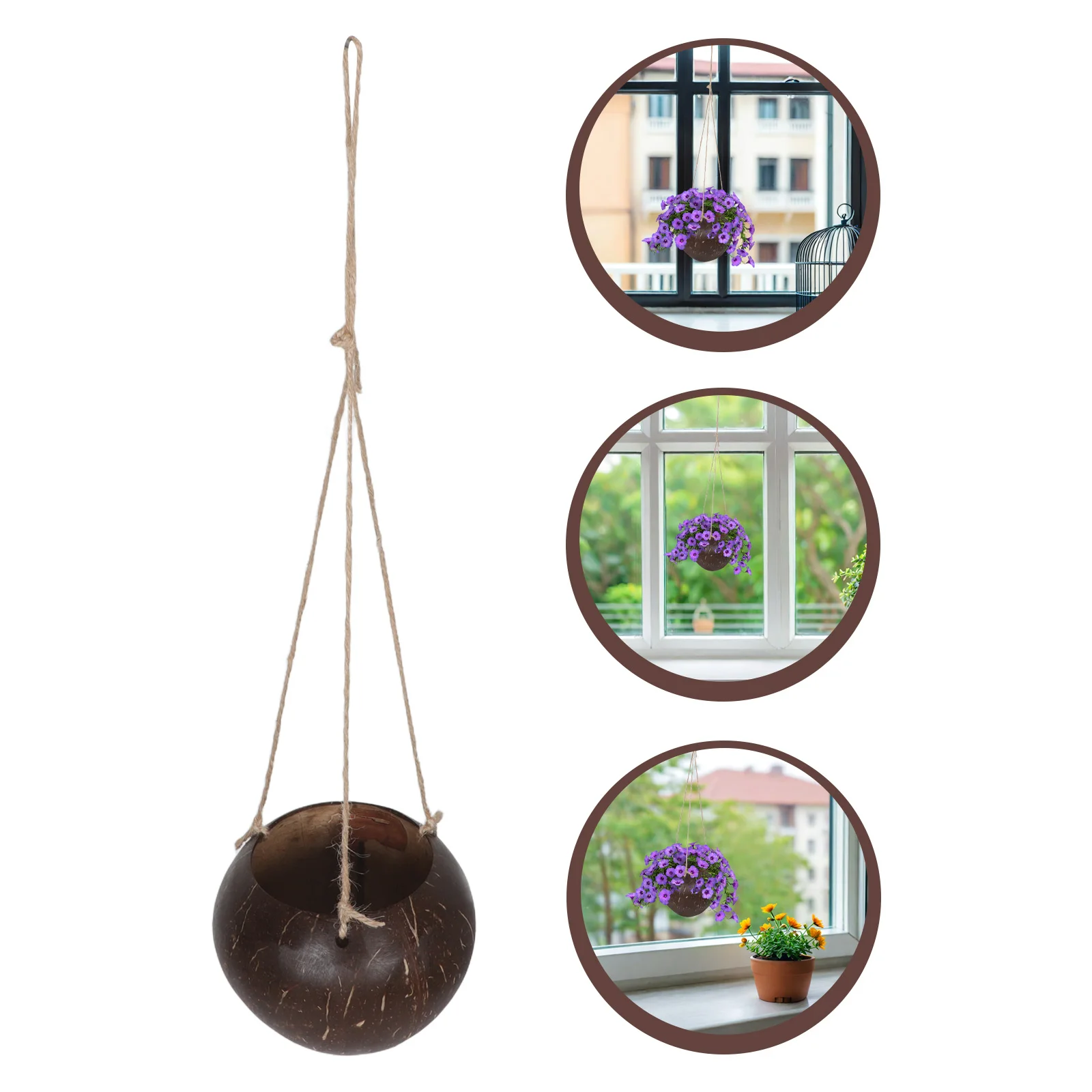 Natural Coconut Shell Hanging Planter Baskets for Indoor Plants Lightweight Decorative Flowerpots with Airflow for Orchids
Natural Coconut Shell Hanging Planter Baskets for Indoor Plants Lightweight Decorative Flowerpots with Airflow for Orchids