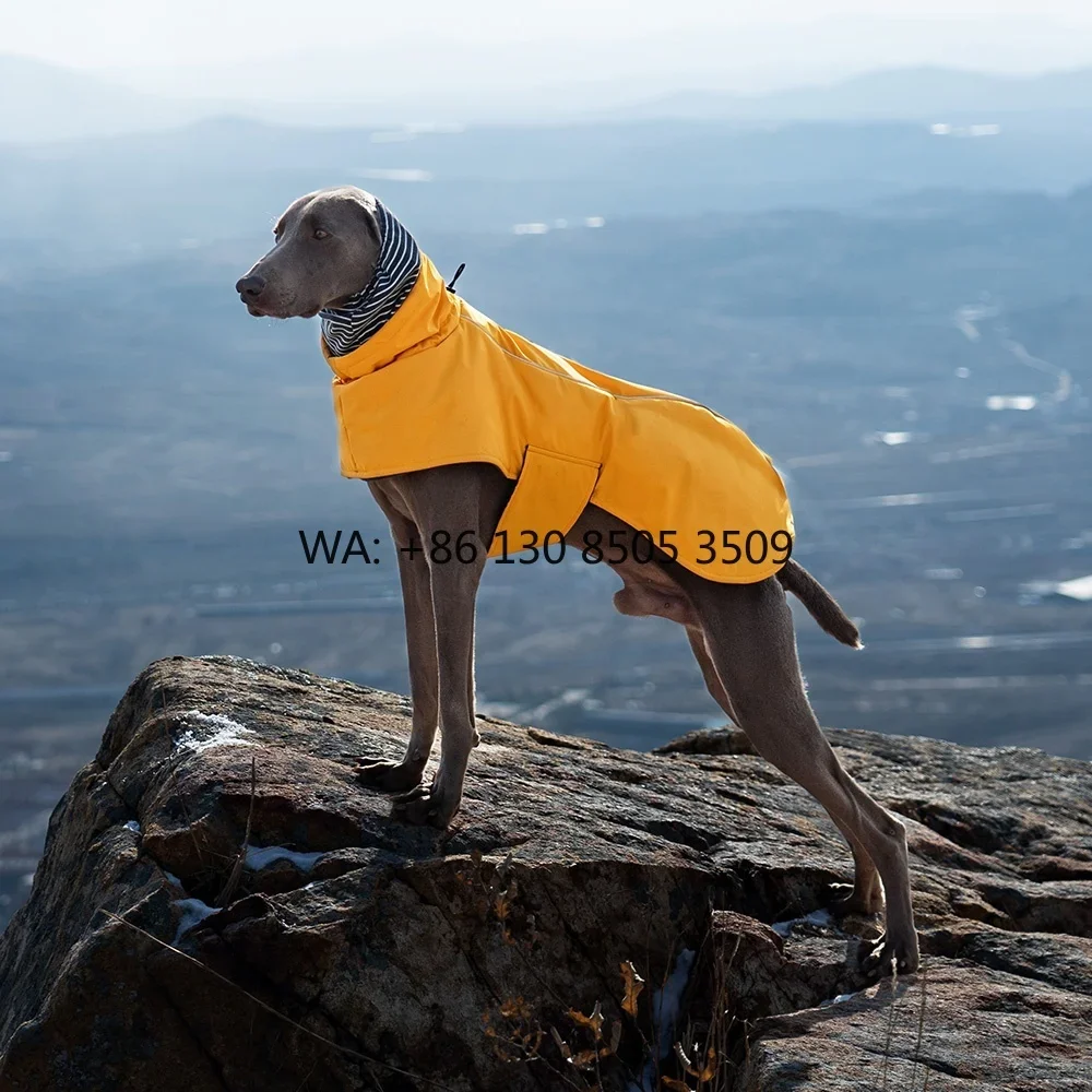 Custom Large Luxury Pet Clothes for French Bulldog Waterproof Polyester Autumn Winter Coat with Protective Feature
Custom Large Luxury Pet Clothes for French Bulldog Waterproof Polyester Autumn Winter Coat with Protective Feature