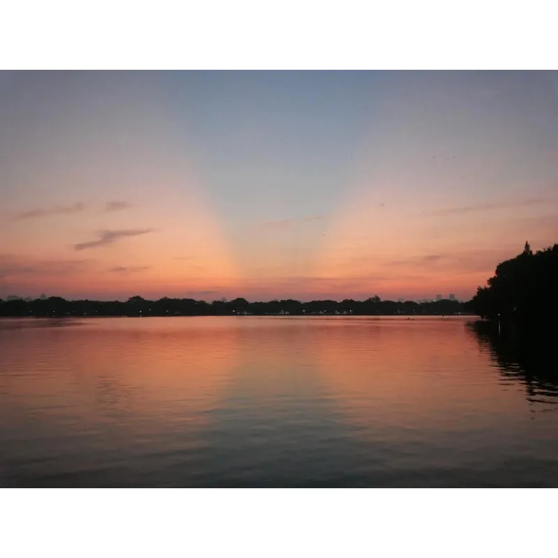 Tiy для R404a R12 R22 шланг для заправки хладагента для кондиционера, 3 шт., 1 м, шланг для заправки хладагента 1/4 Sae, 2500 фунтов на квадратный дюйм
Tiy для R404a R12 R22 шланг для заправки хладагента для кондиционера, 3 шт., 1 м, шланг для заправки хладагента 1/4 Sae, 2500 фунтов на квадратный дюйм